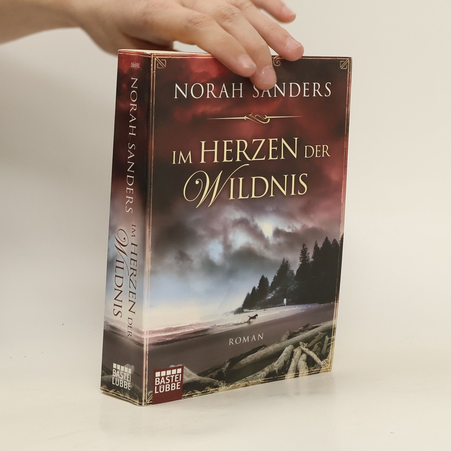 Norah Sanders Im Herzen der Wildnis