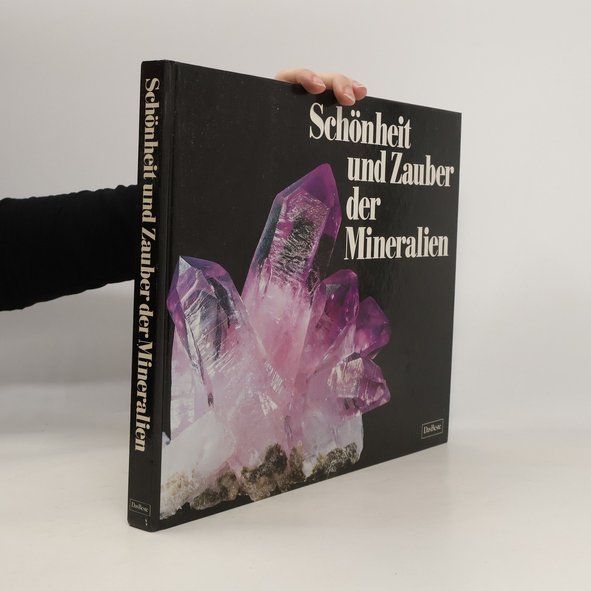 Kolektív autorov Schönheit und Zauber der Mineralien