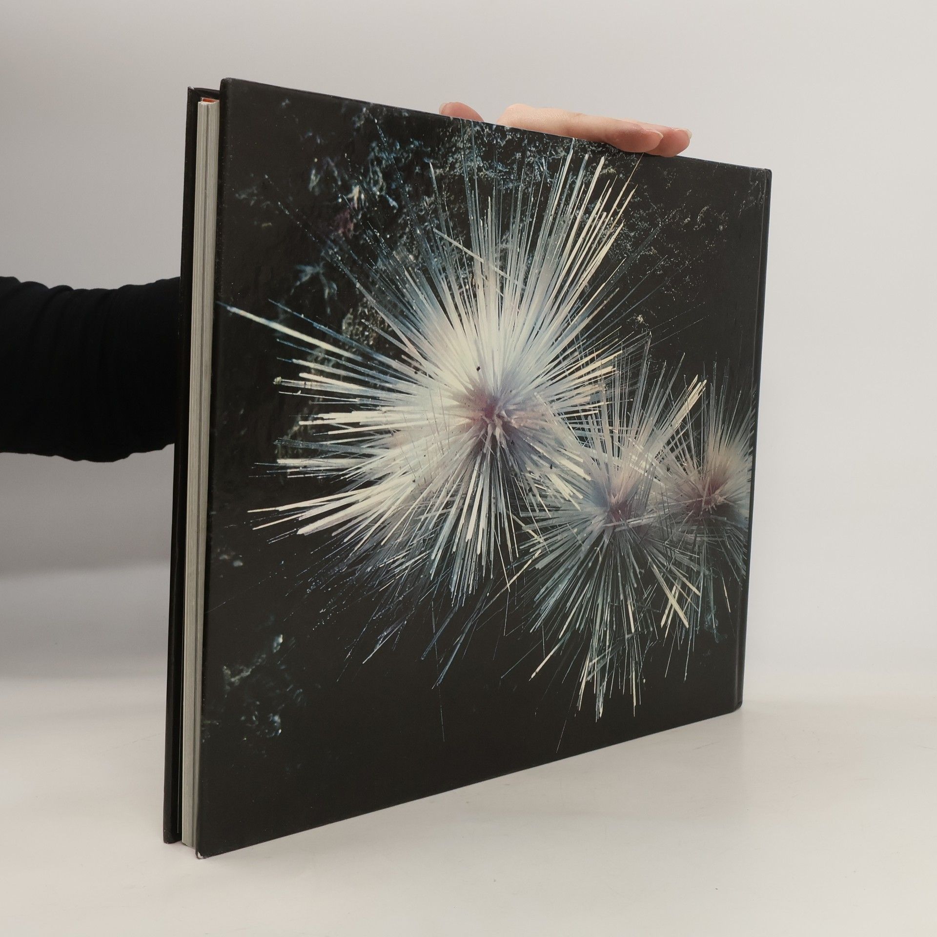 Autorenkollektiv Schönheit und Zauber der Mineralien