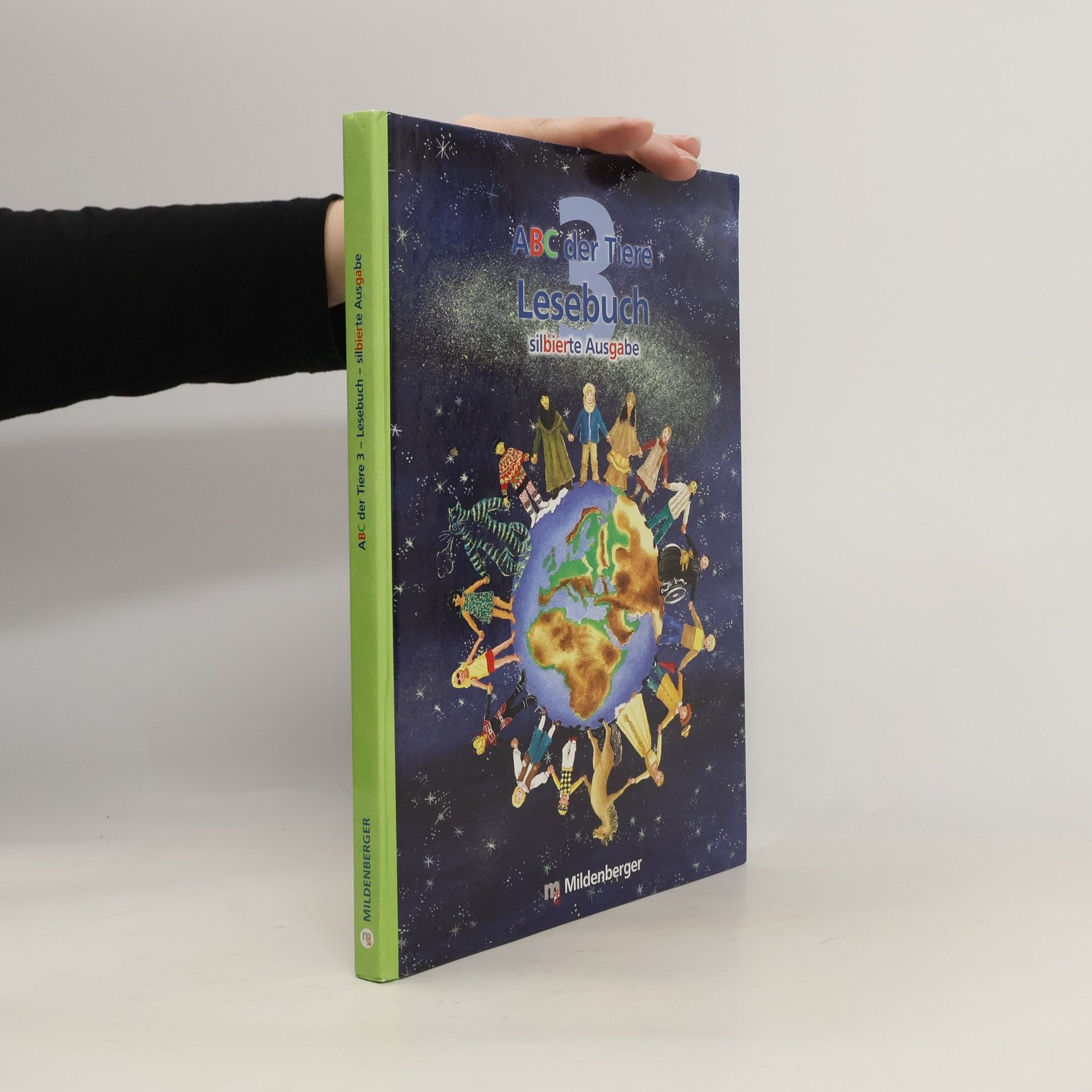 Bettina Erdmann 3. Klasse, Lesebuch (Silbierte Ausgabe)