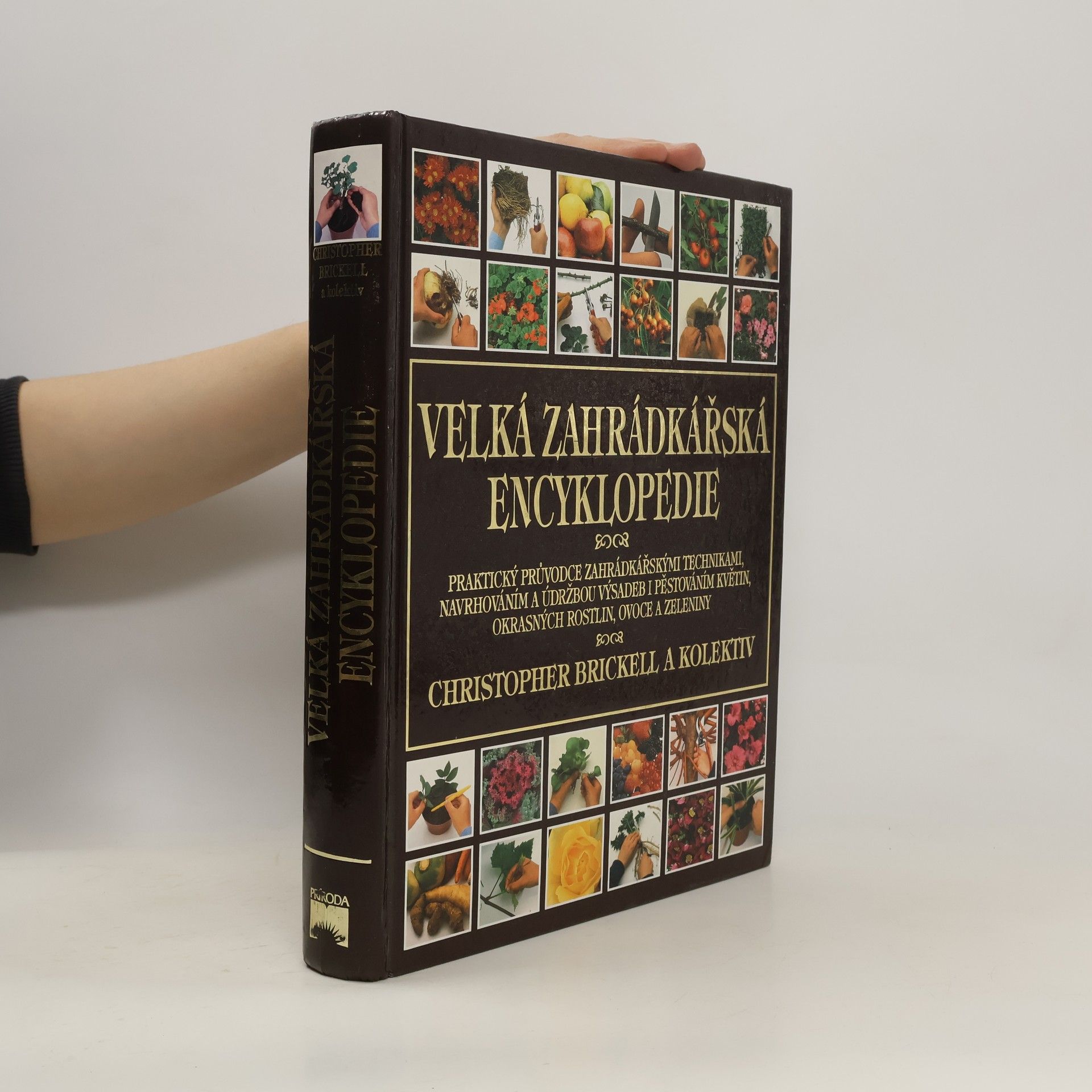 Kolektív autorov Velká zahrádkářská encyklopedie