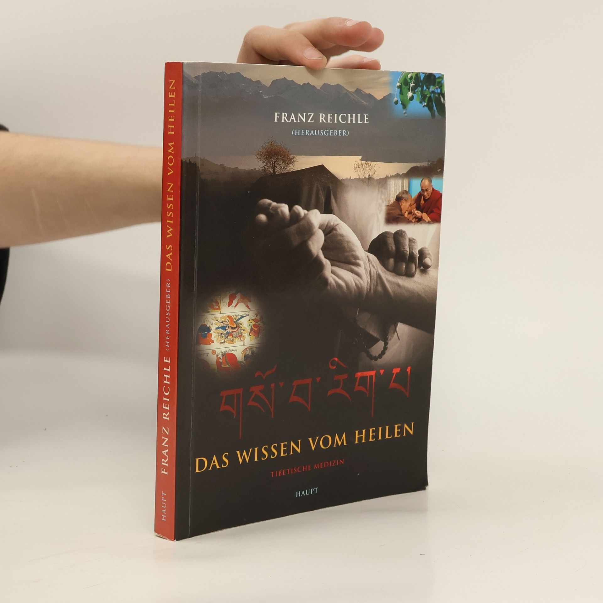 Franz Reichle Das Wissen vom Heilen