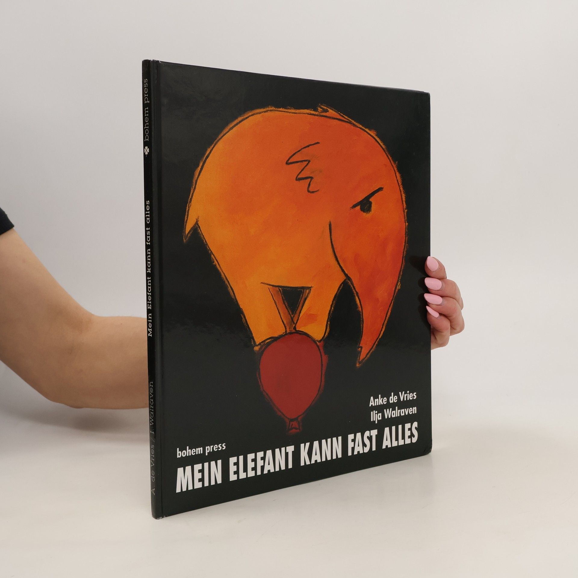 Anke de Vries Mein Elefant kann fast alles