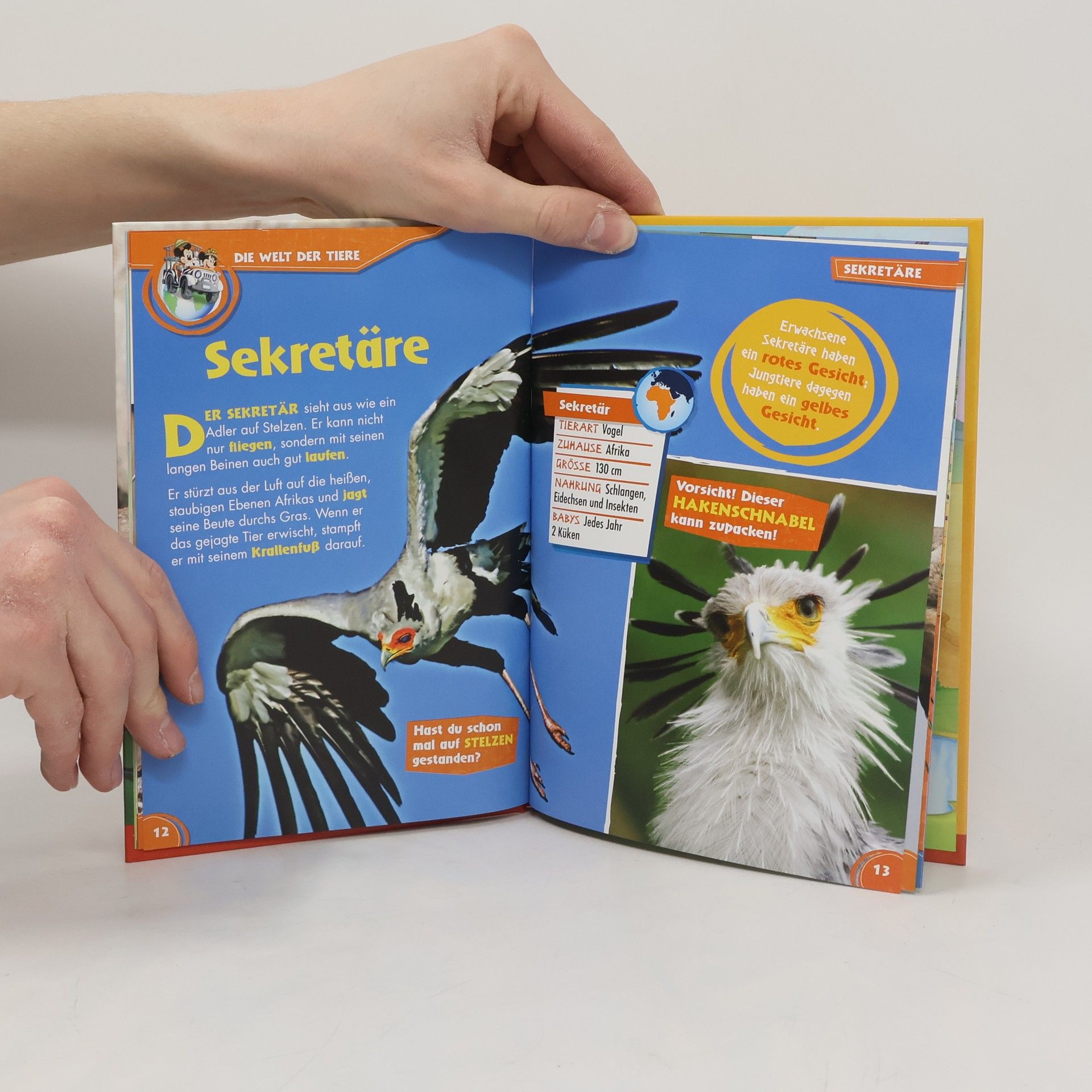 kolektiv Unsere Tierfreunde 30