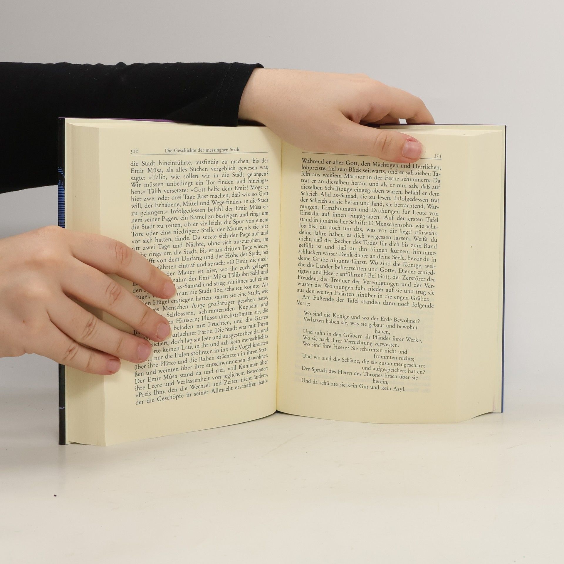 Johann Christoph Bürgel Geschichten aus Tausend-und-einer Nacht