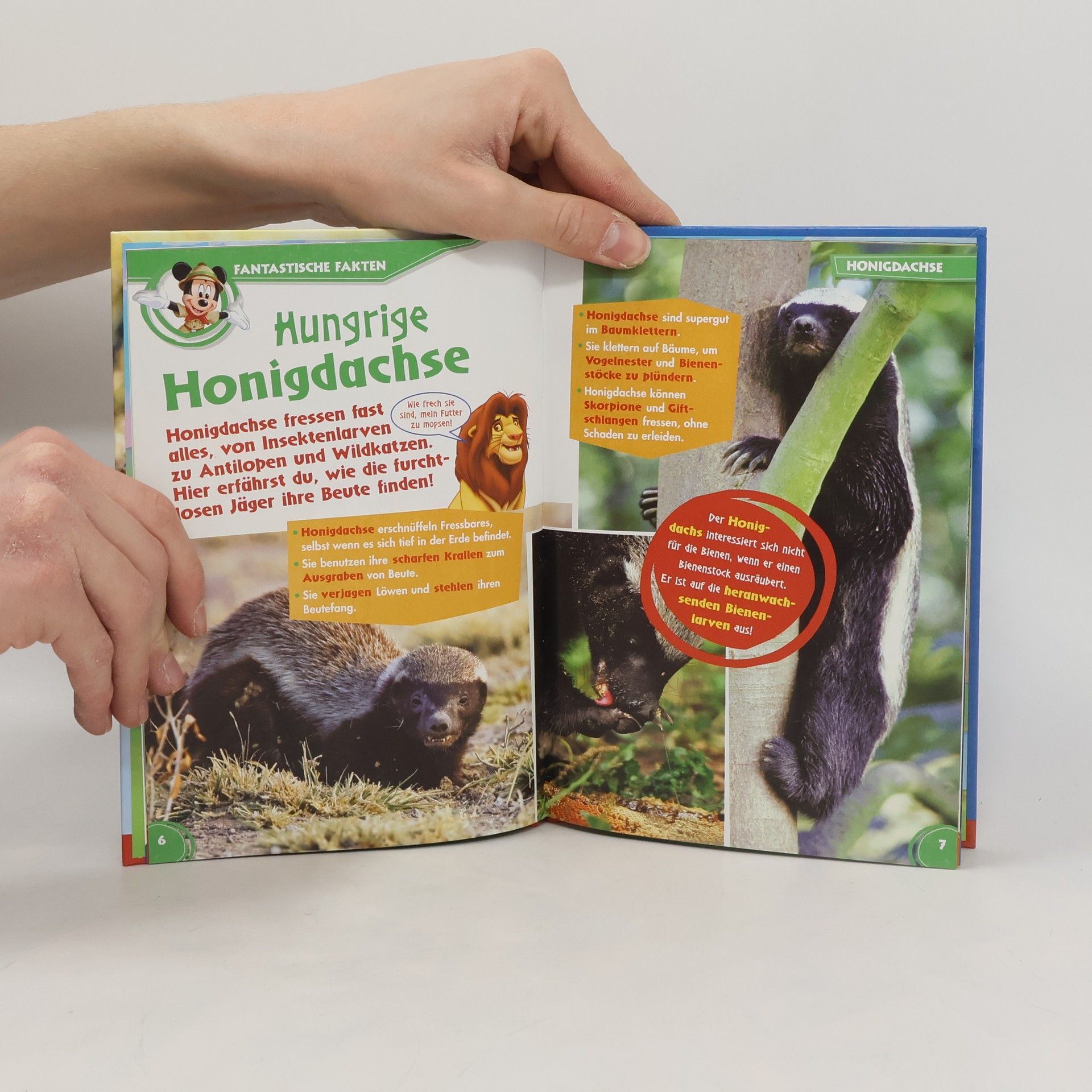 kolektiv Unsere Tierfreunde 84