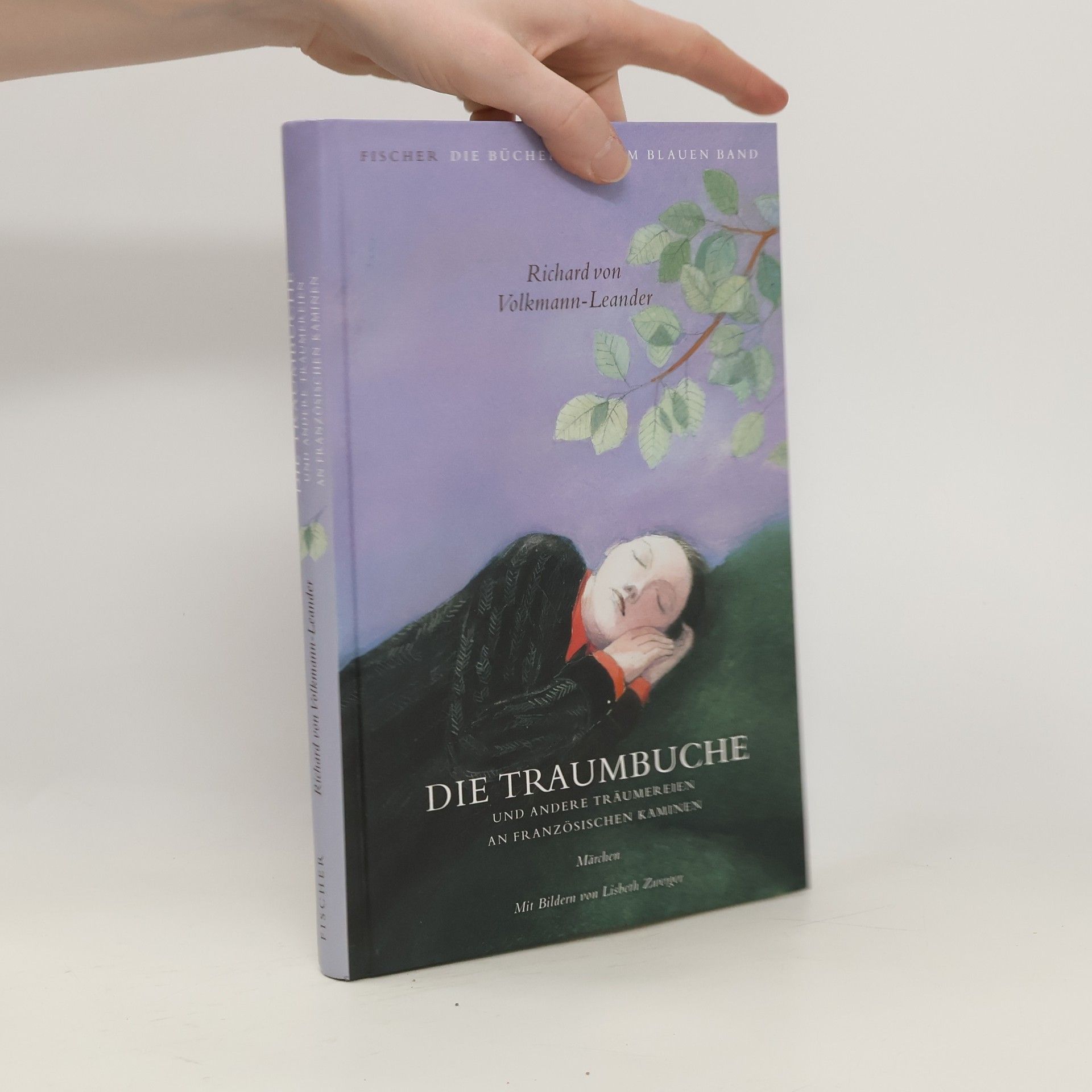 Richard von Volkmann-Leander Die Traumbuche und andere Träumereien an französischen Kaminen