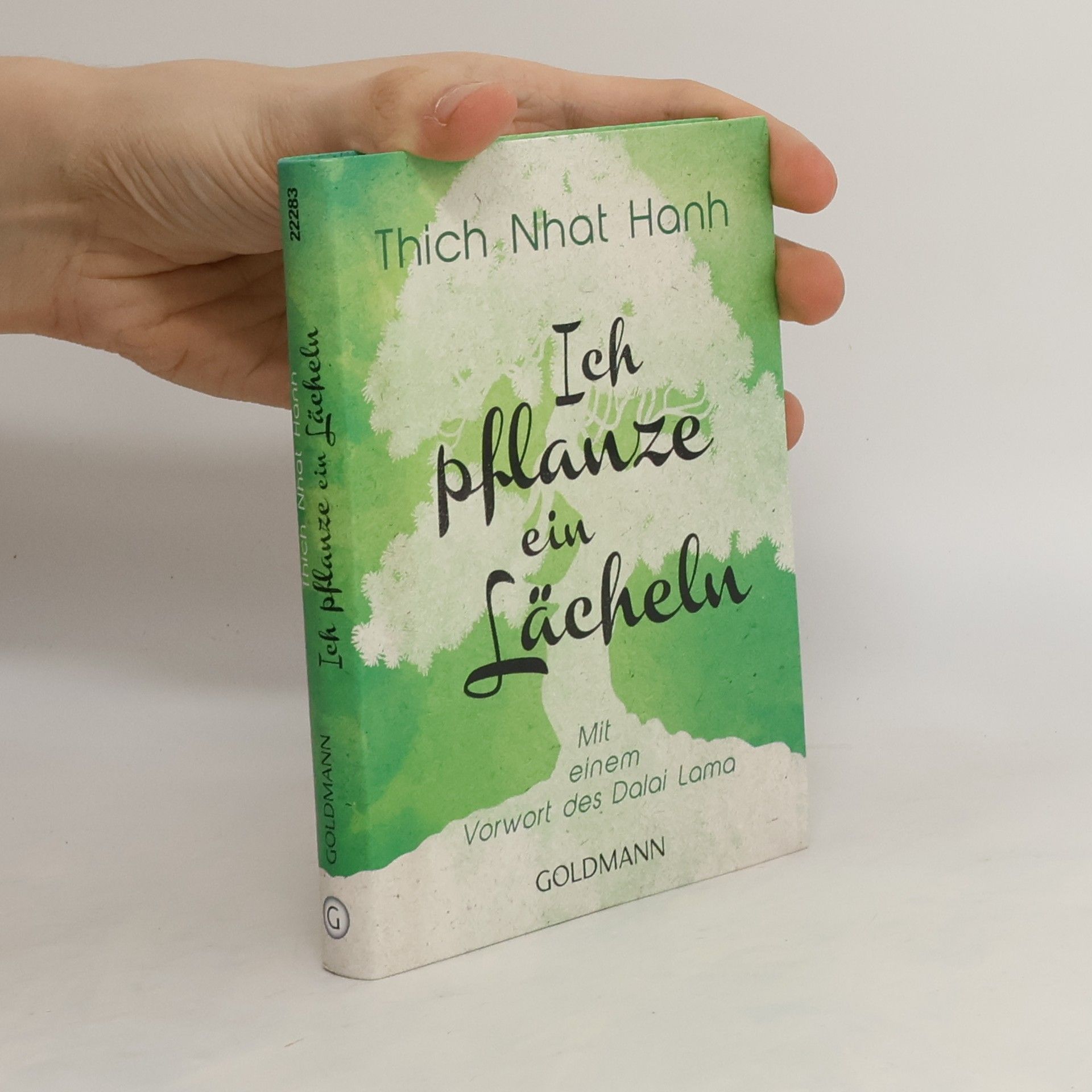 Nhat Thich Ich pflanze ein Lächeln