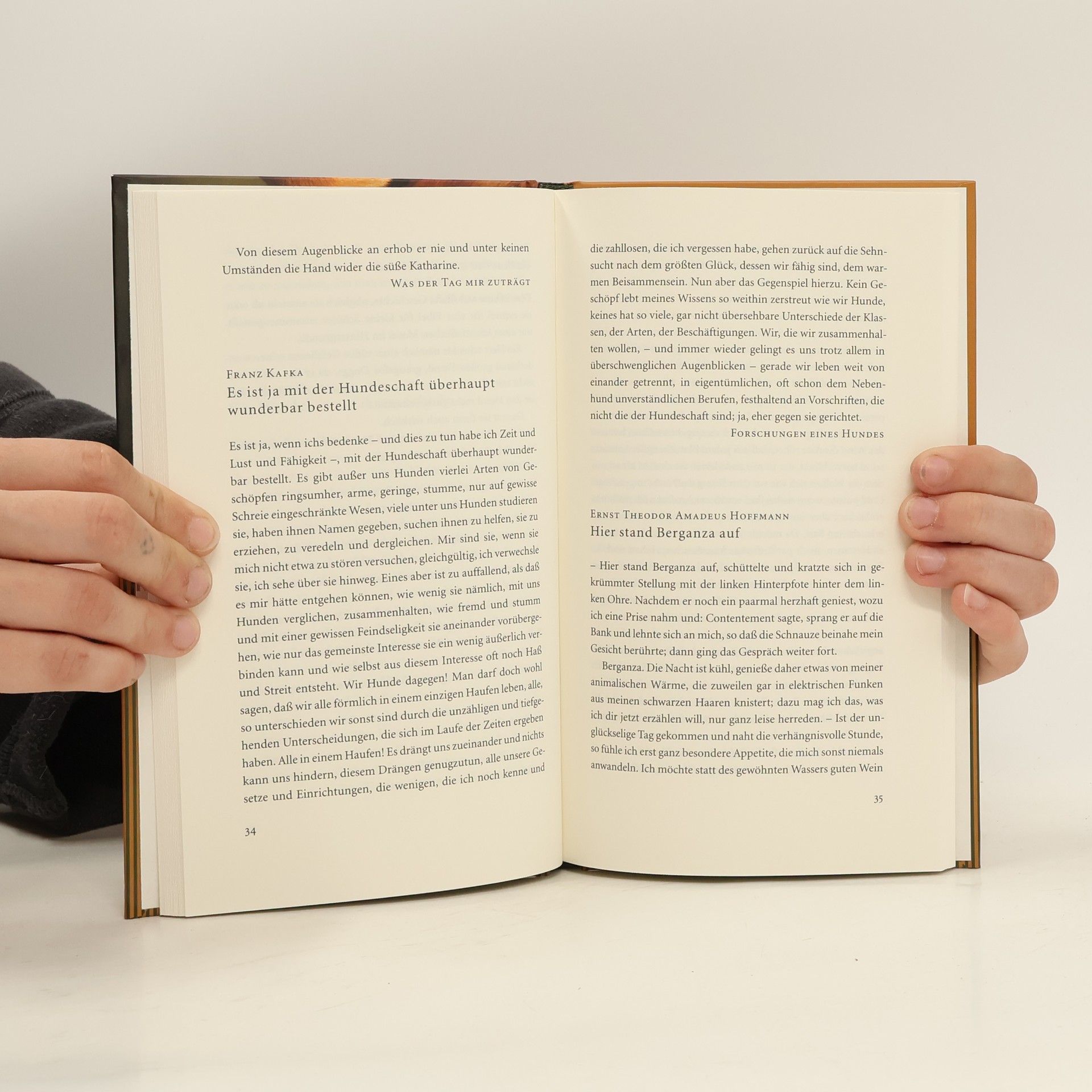 Cornelie Ueding Hunde. Ein literarisches Brevier