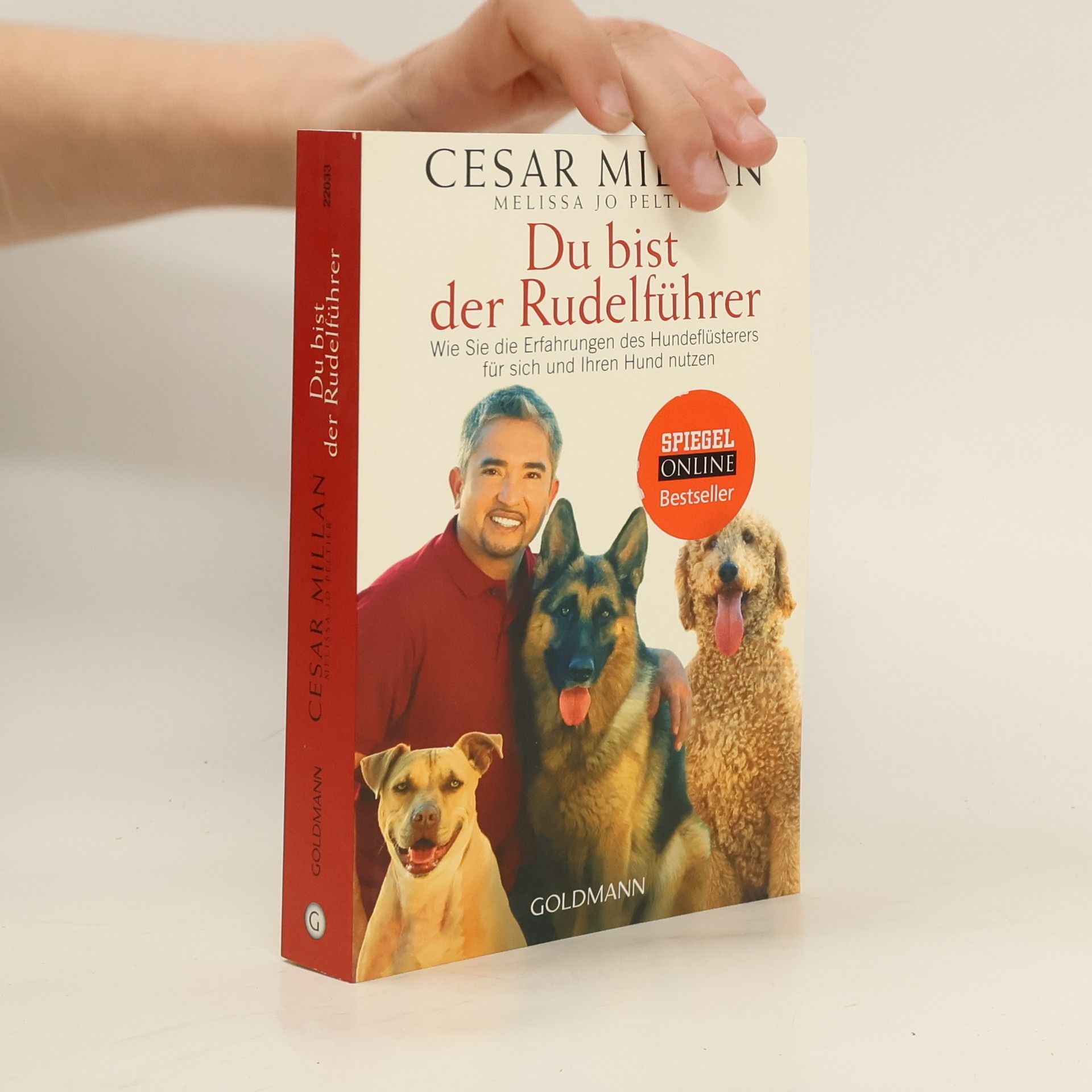 Cesar Millan Du bist der Rudelführer