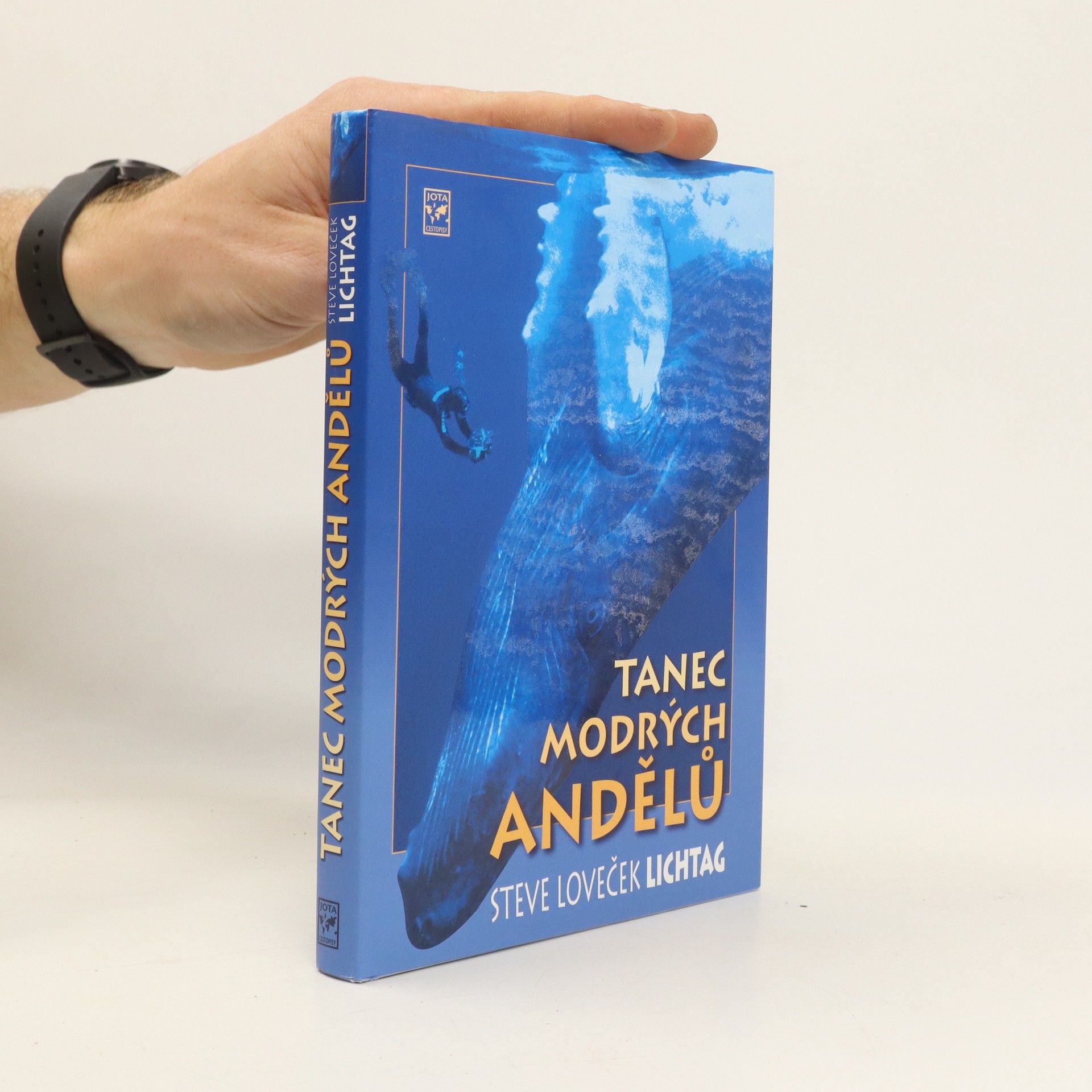 Steve Lichtag Tanec modrých andělů