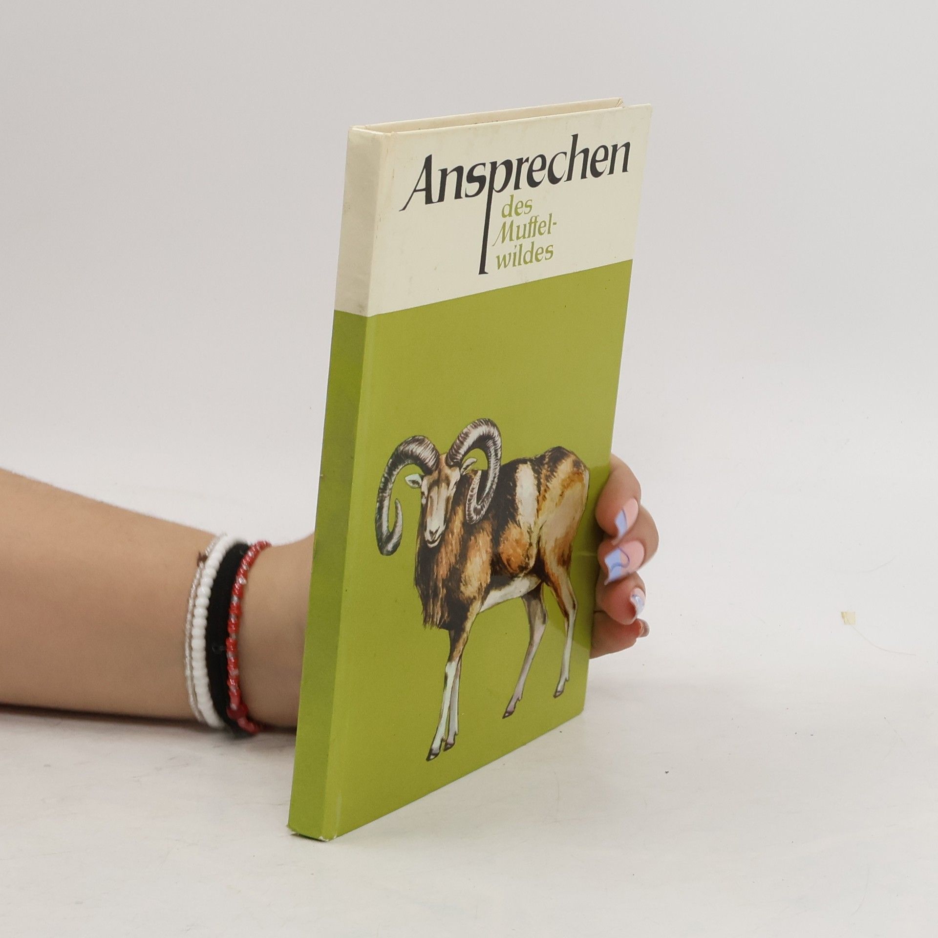 Manfred F. Fischer Ansprechen des Muffelwildes