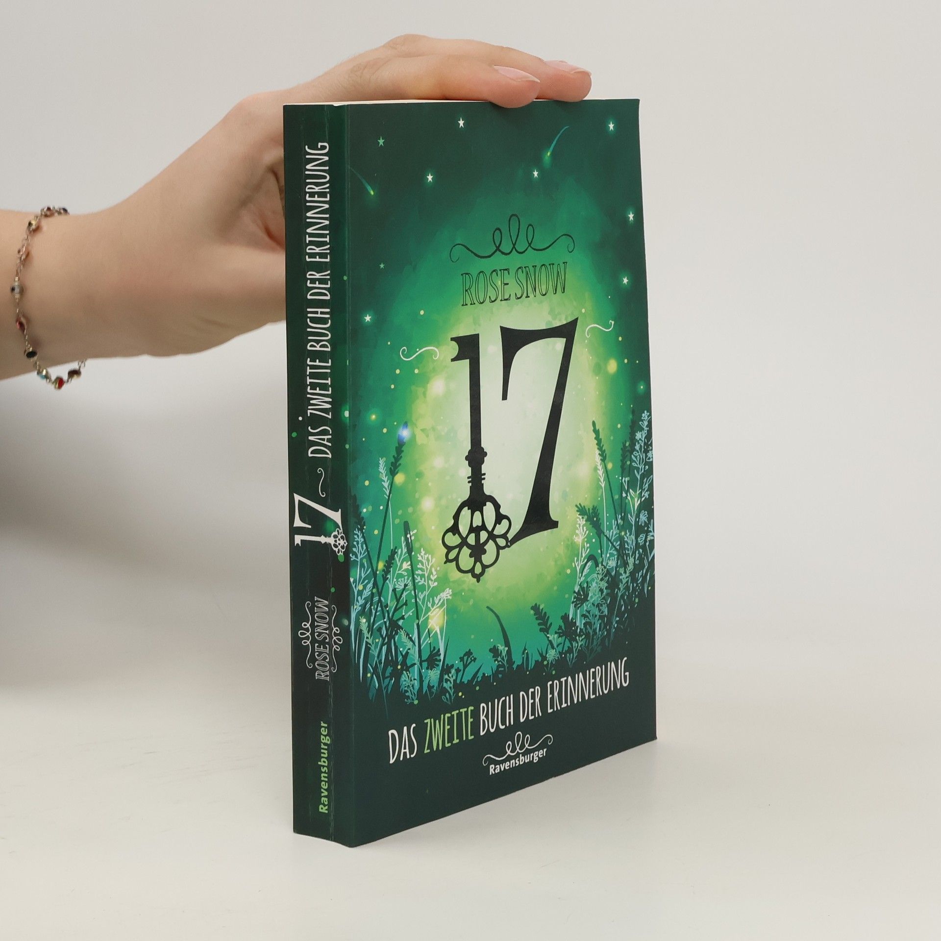 Rose Snow 17 : Das zweite Buch der Erinnerung