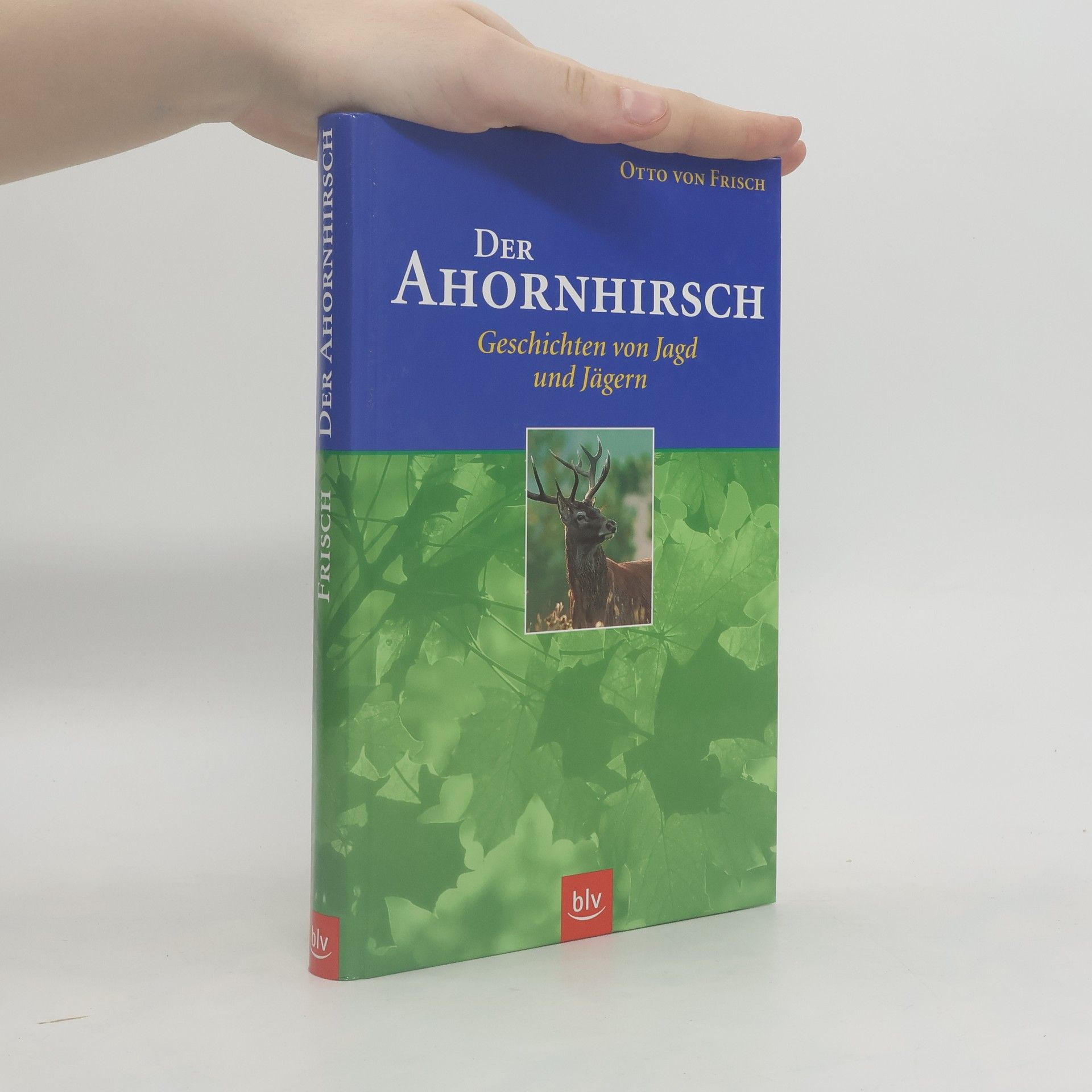 Otto von Frisch Der Ahornhirsch