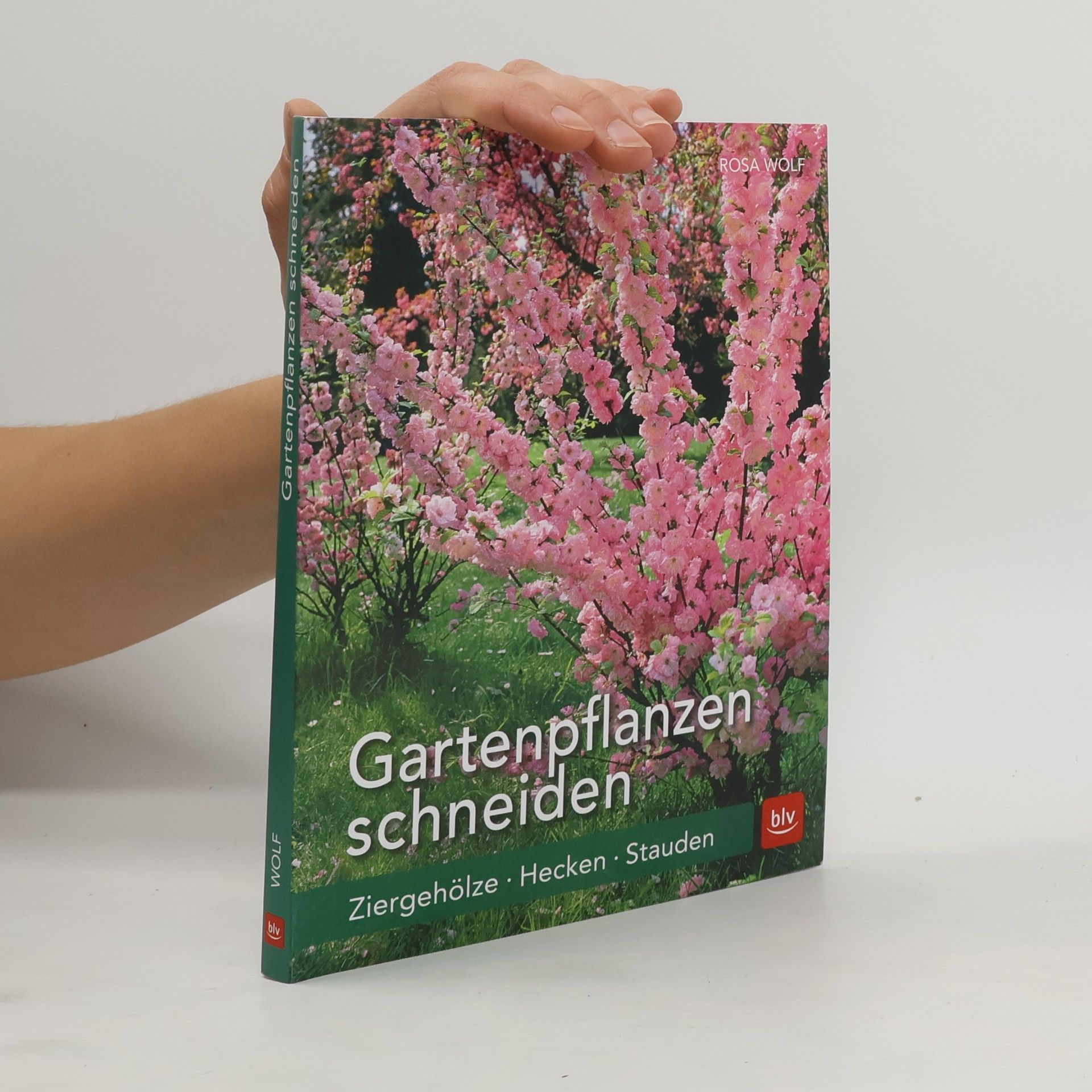 Rosa Wolf Gartenpflanzen schneiden