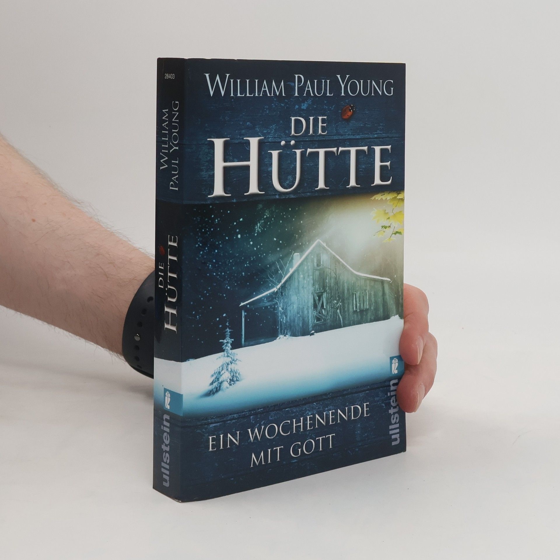 William P. Young Die Hütte