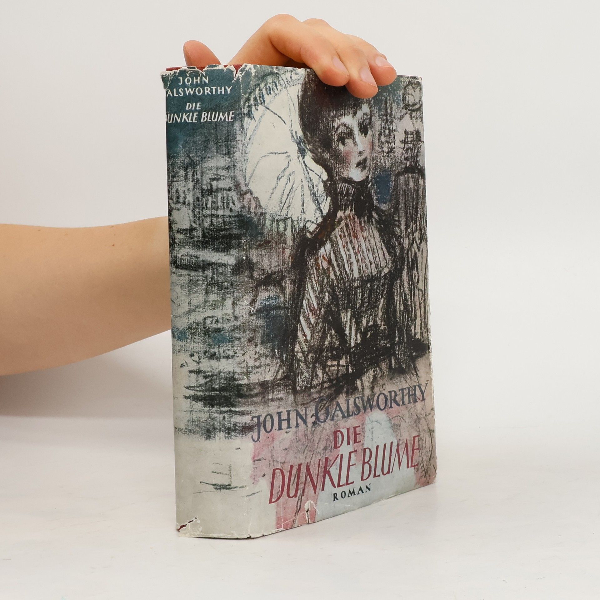 John Galsworthy Die dunkle Blume
