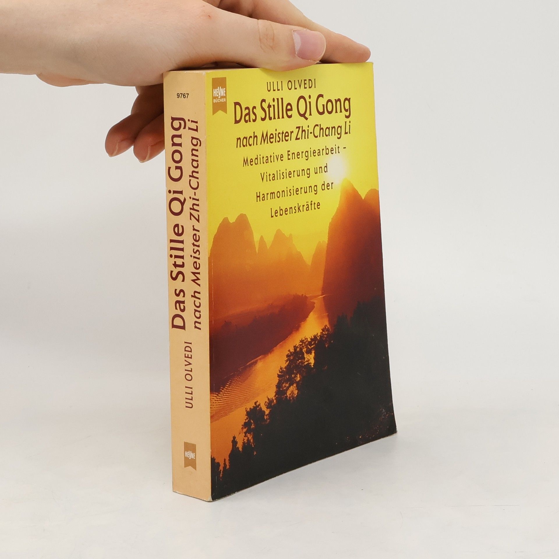 Ulli Olvedi Yi-Qi-gong, das stille Qi-gong nach Meister Zhi-Chang Li