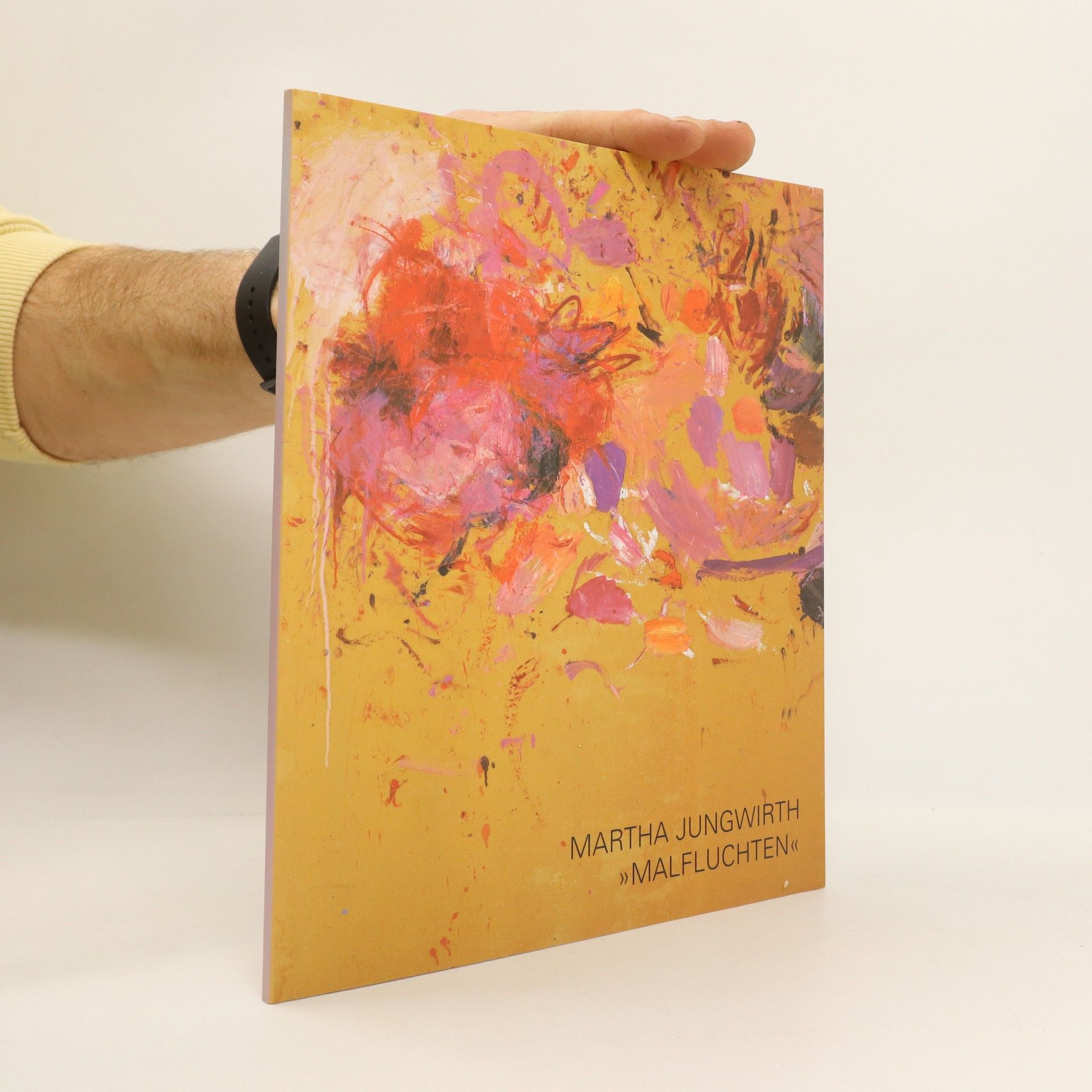 AA.VV. Martha Jungwirth. Malfluchten