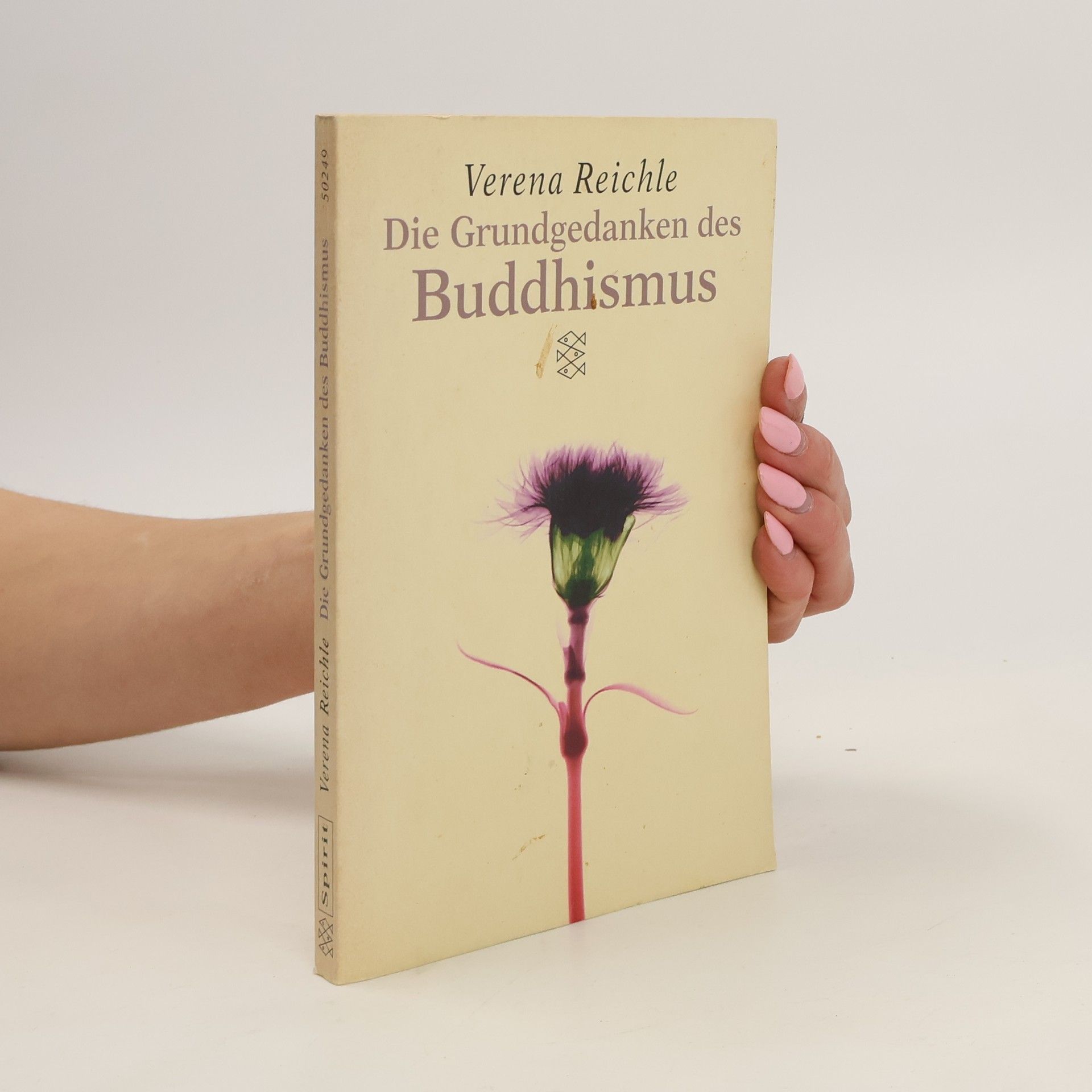 Verena Reichle Die Grundgedanken des Buddhismus. Sonderausgabe.