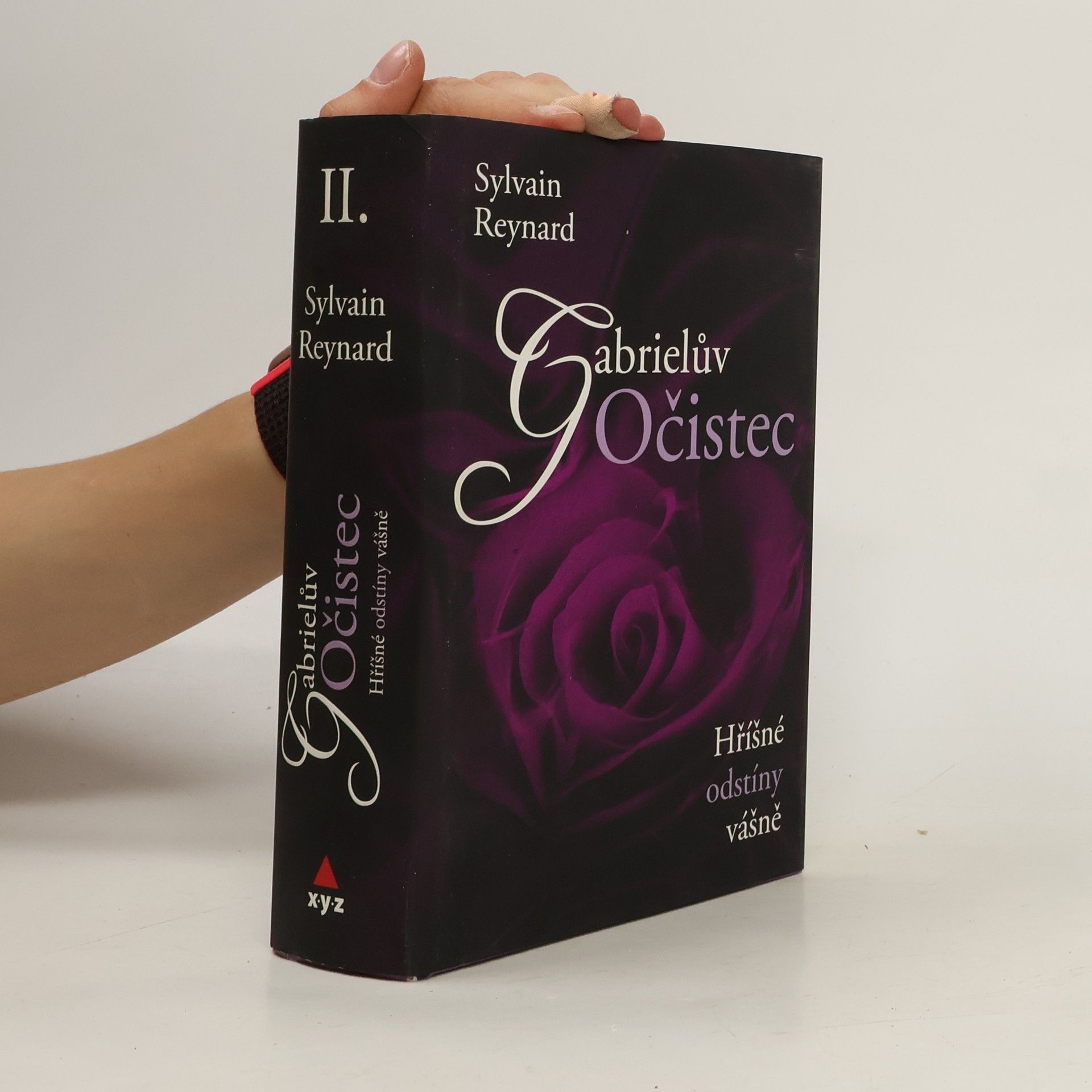 Sylvain Reynard Gabrielův očistec