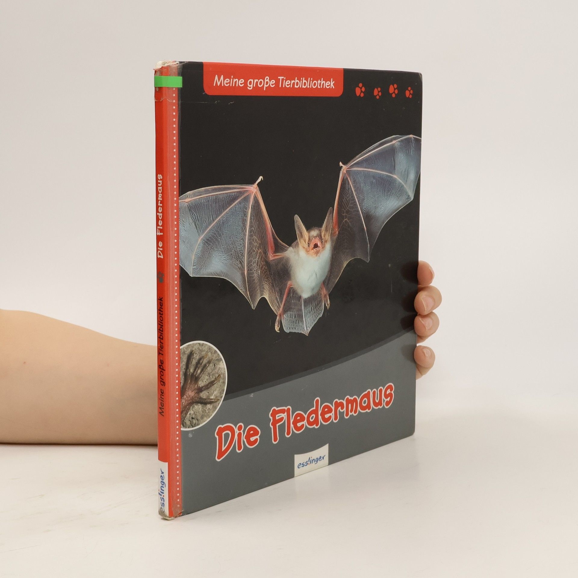 Jens Poschadel Die Fledermaus