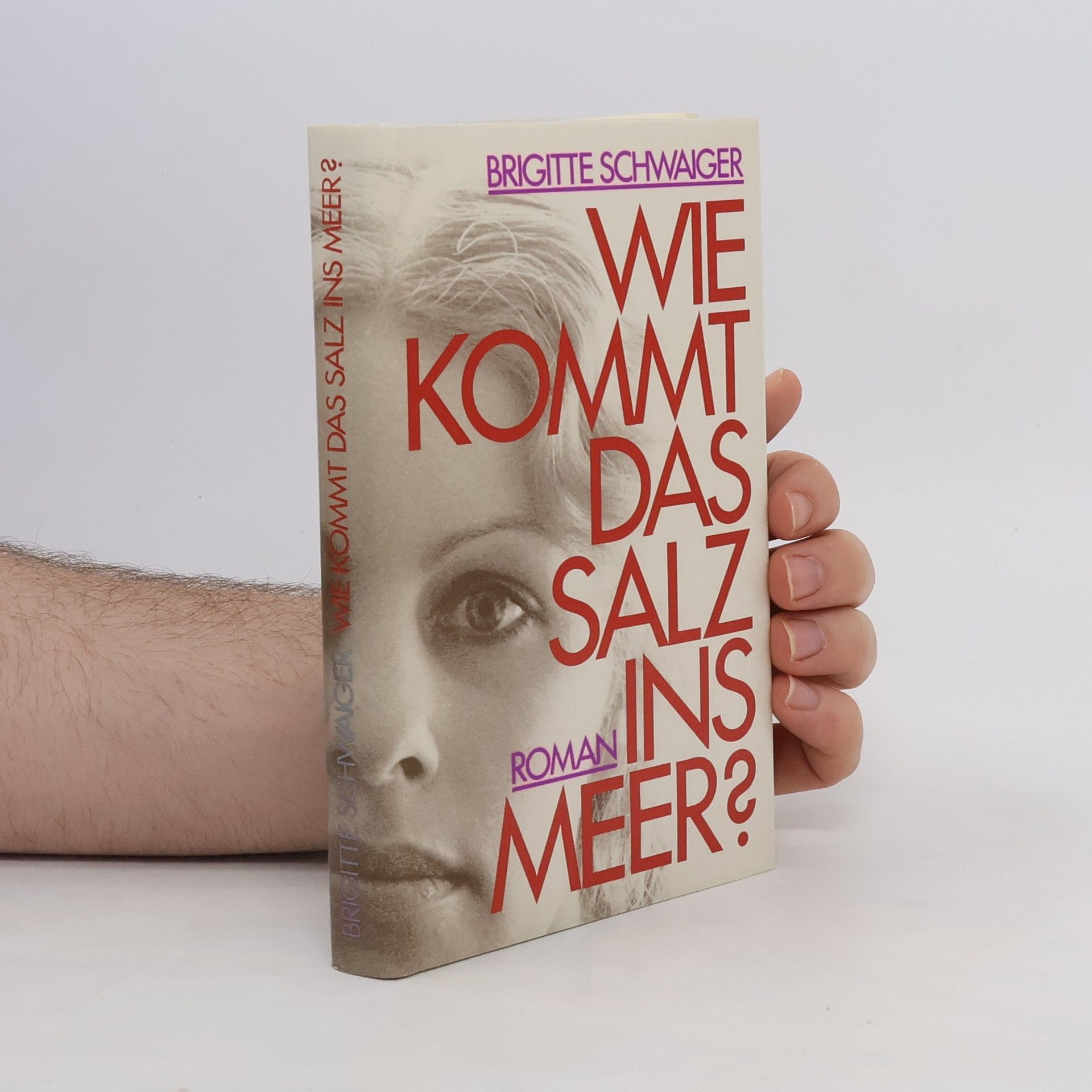 Brigitte Schwaiger Wie kommt das Salz ins Meer?