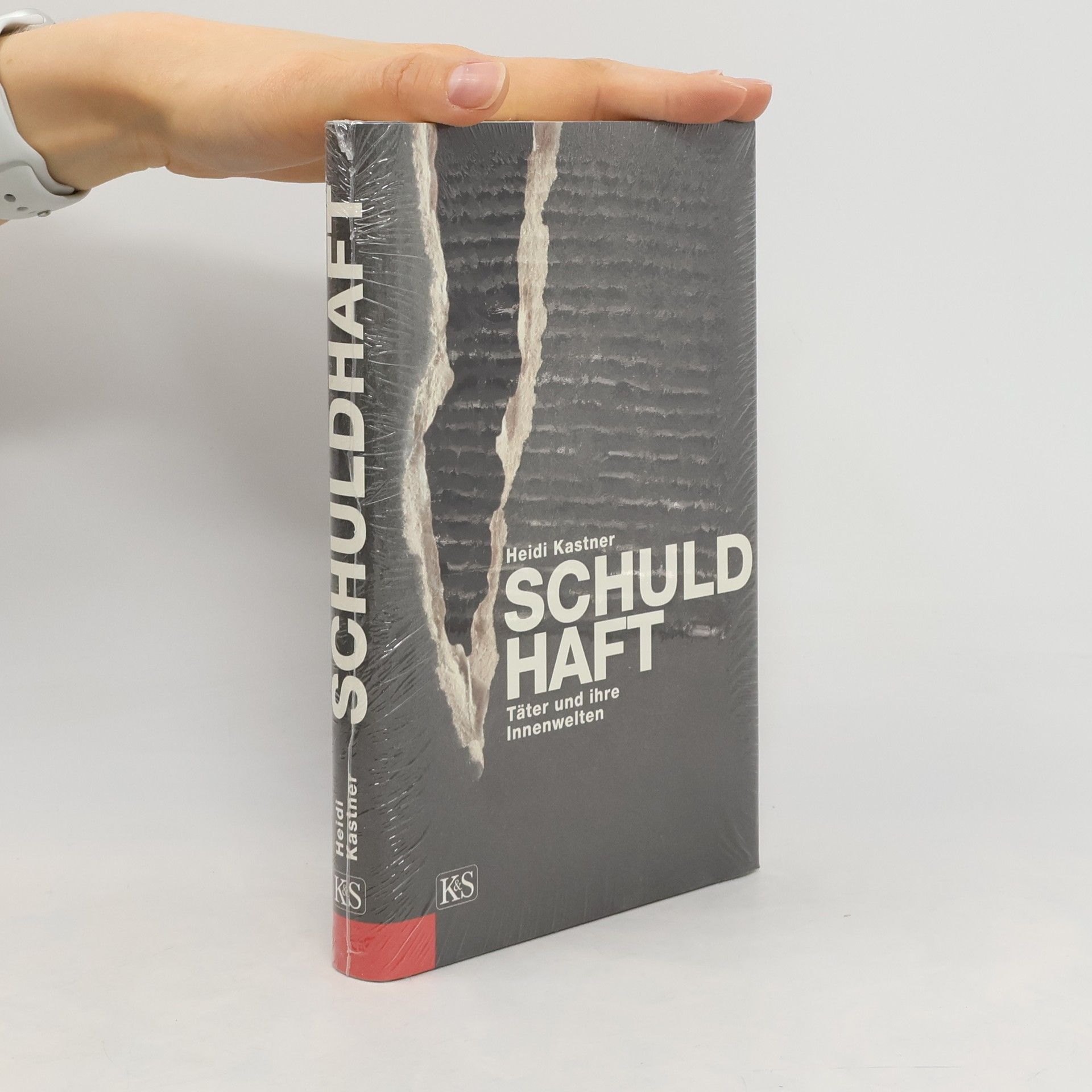 Heidi Kastner Schuldhaft