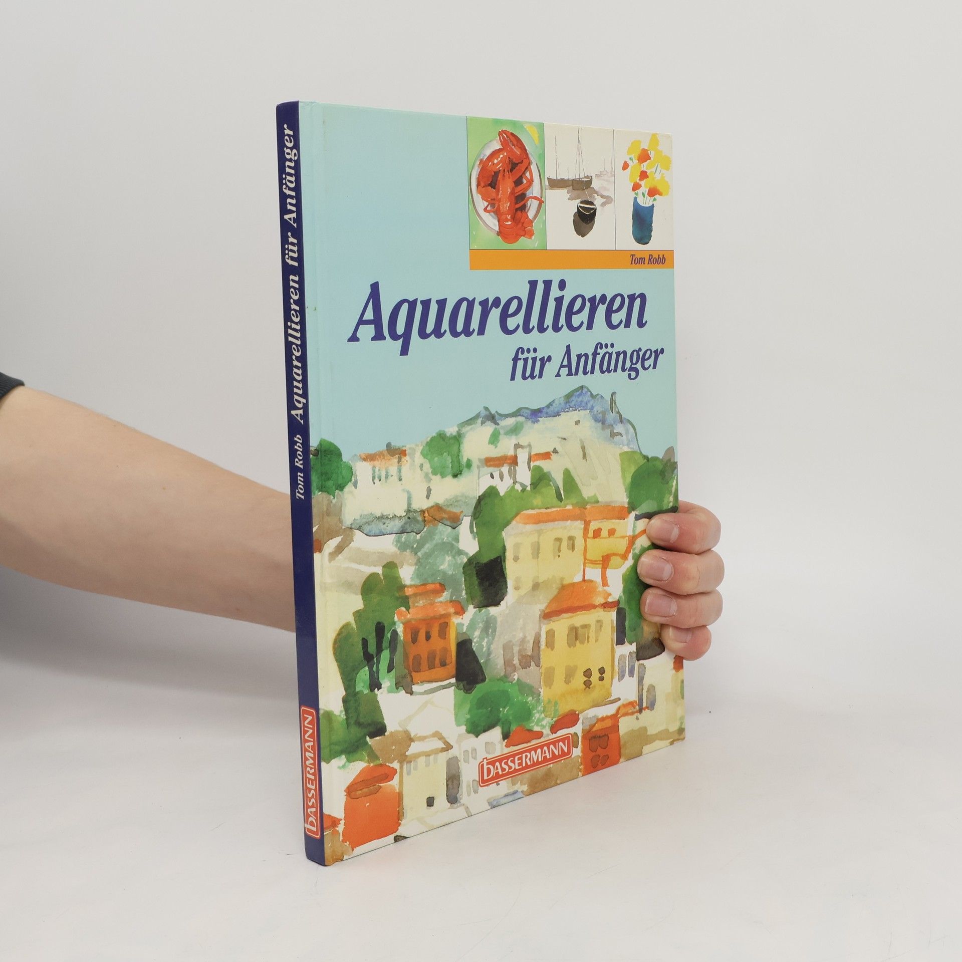 Tom Robb Aquarellieren für Anfänger