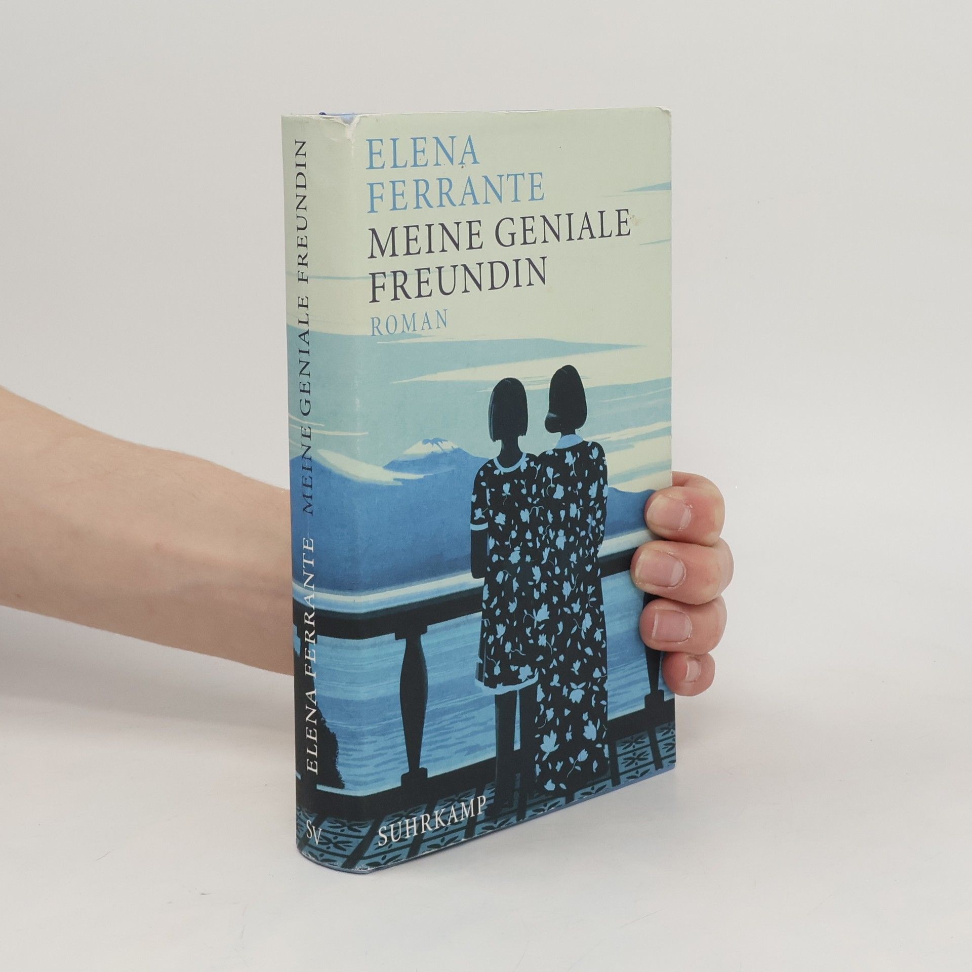 Elena Ferrante Meine geniale Freundin