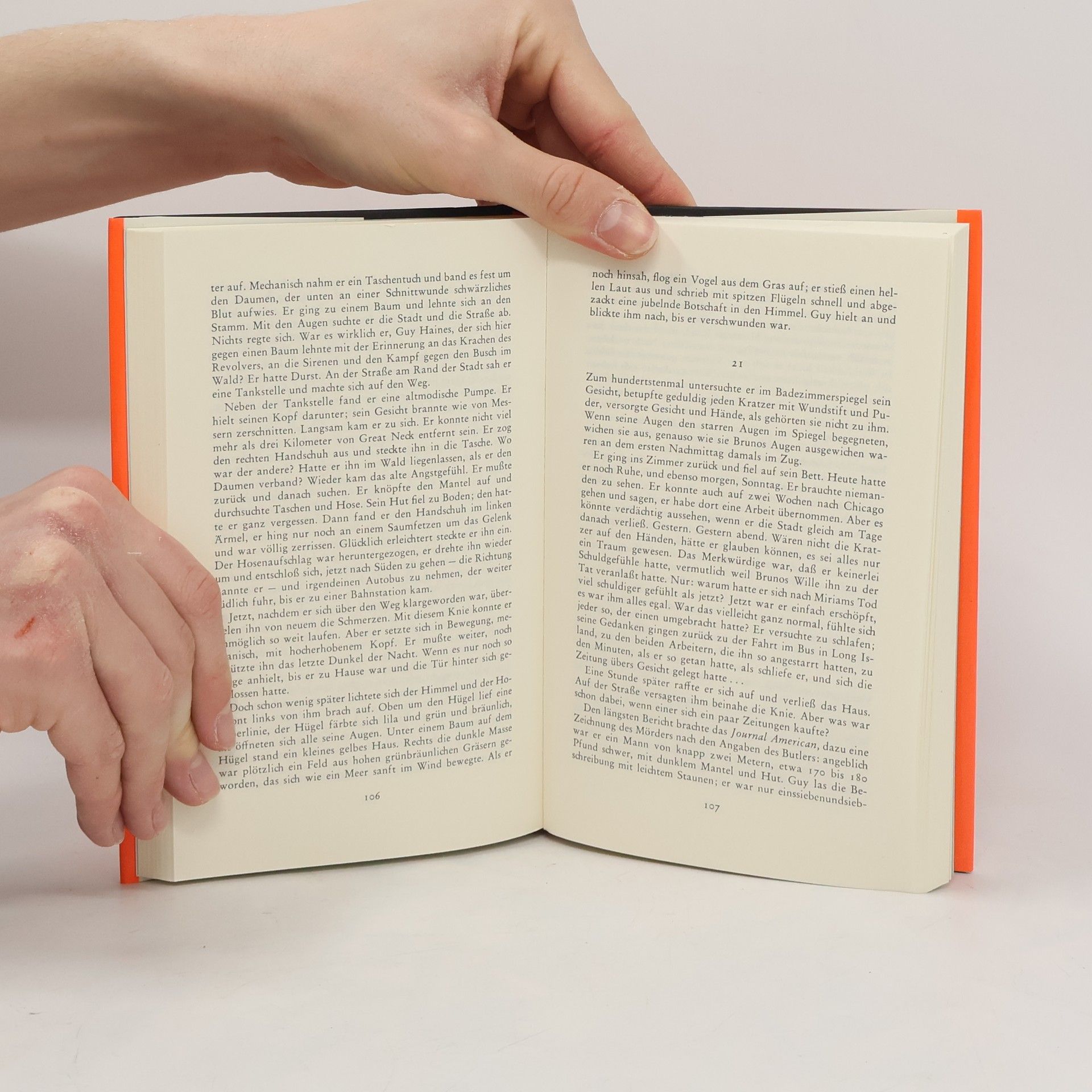 Patricia Highsmith Zwei Fremde im Zug