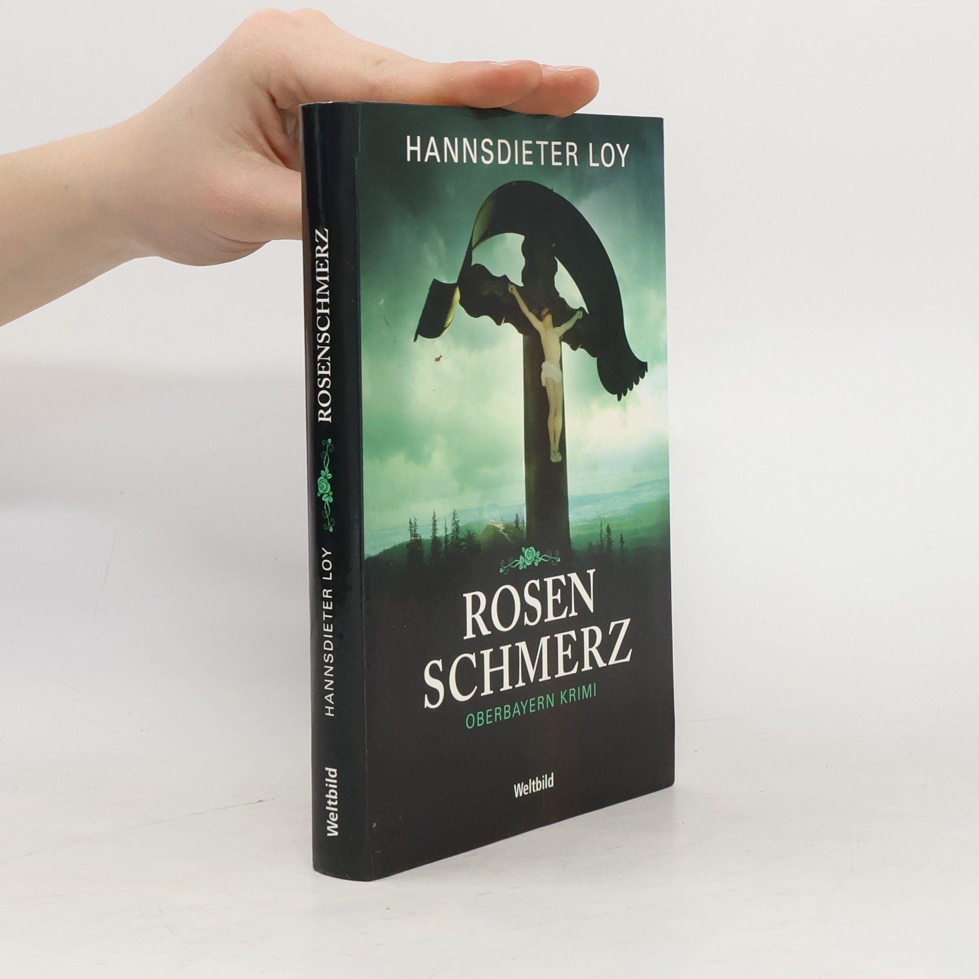 Hannsdieter Loy Rosenschmerz