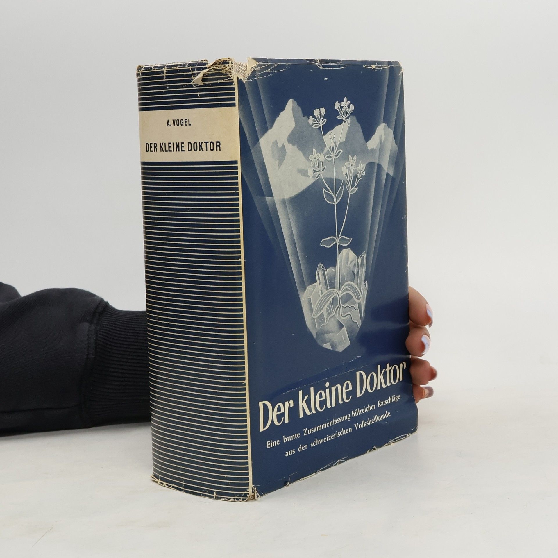 A. Vogel Der kleine Doktor