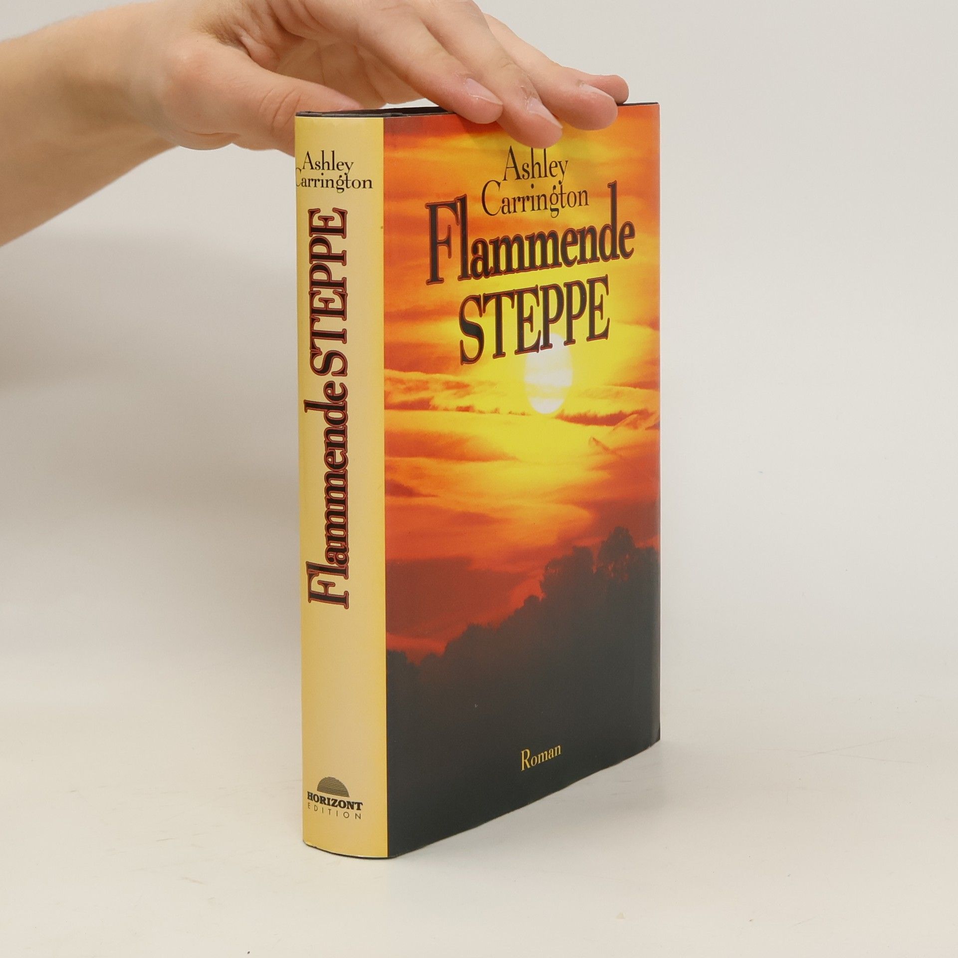 Rainer Maria Schröder Flammende Steppe
