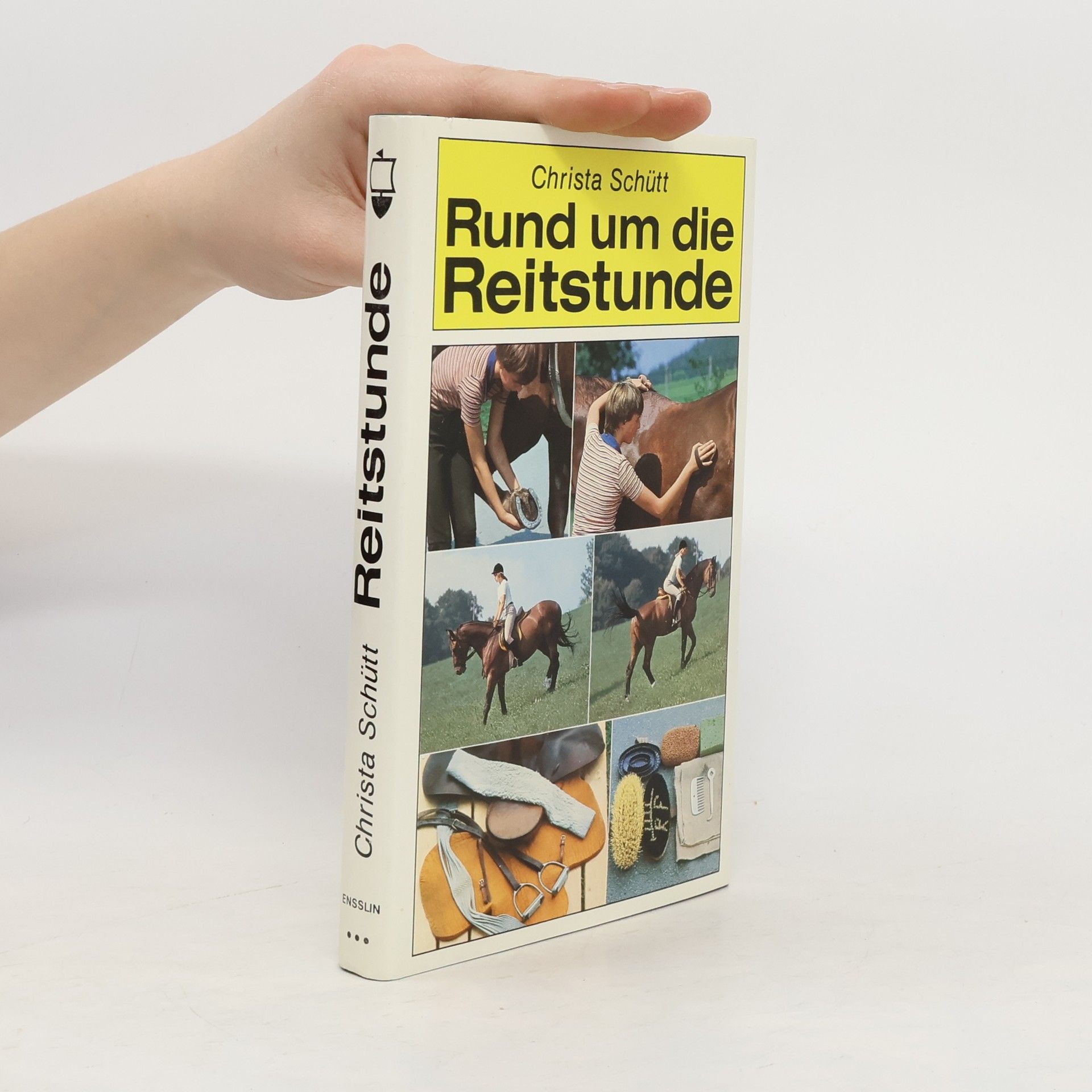 Christa Schütt Rund um die Reitstunde