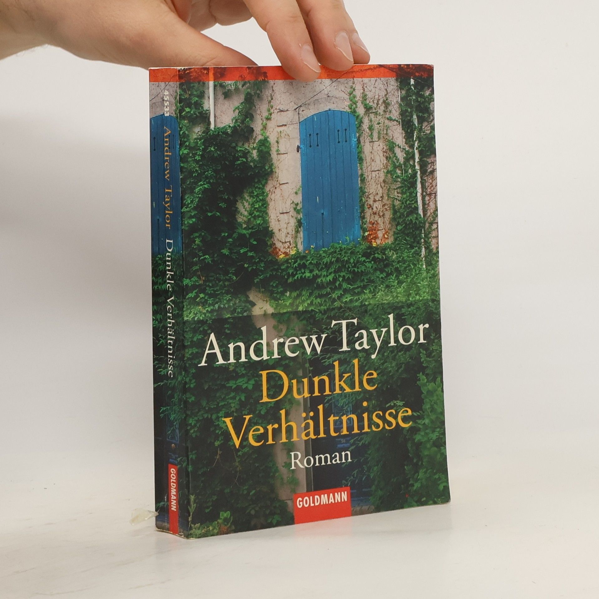 John Robert Taylor Dunkle Verhältnisse. Roman