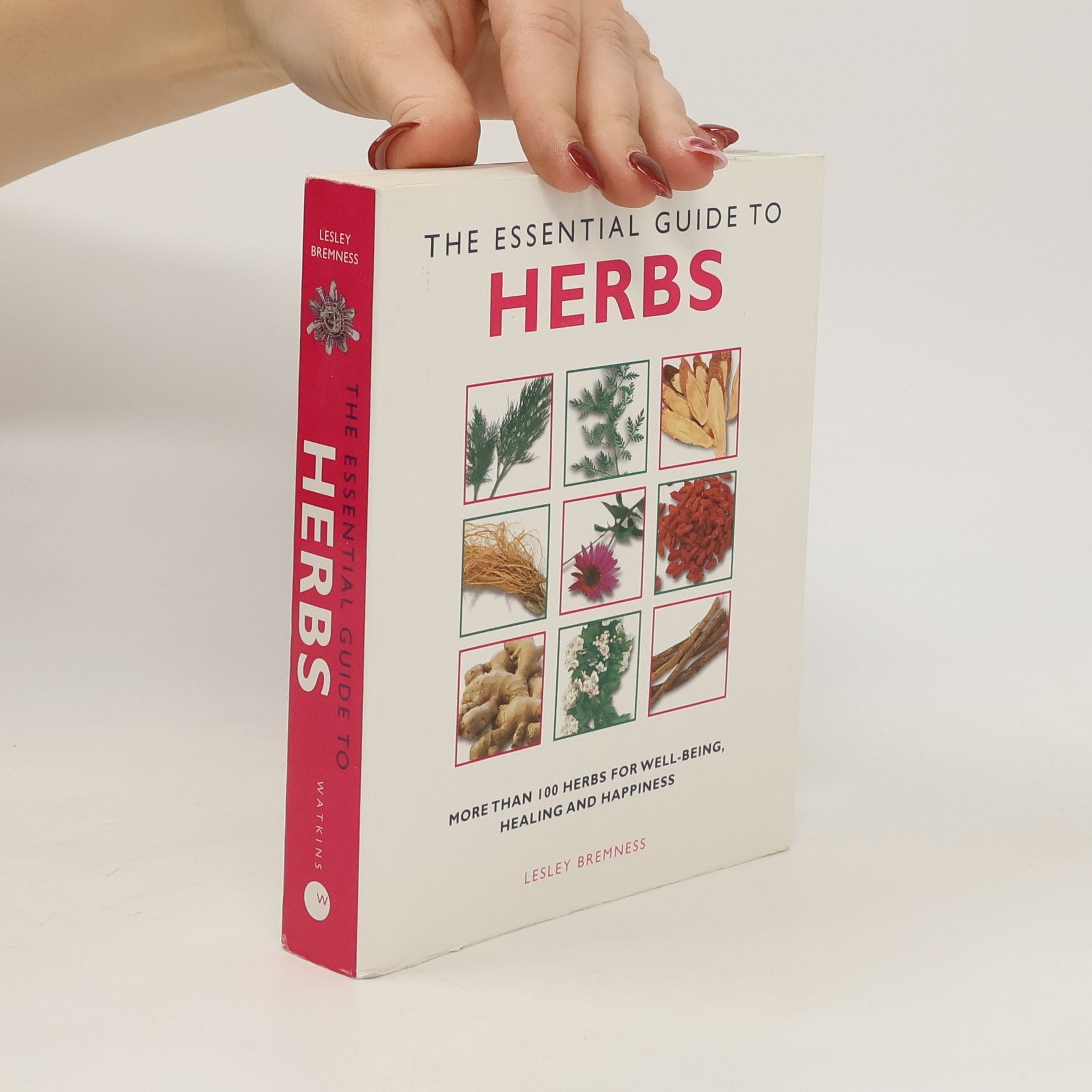 Lesley Bremness Essential Herbs