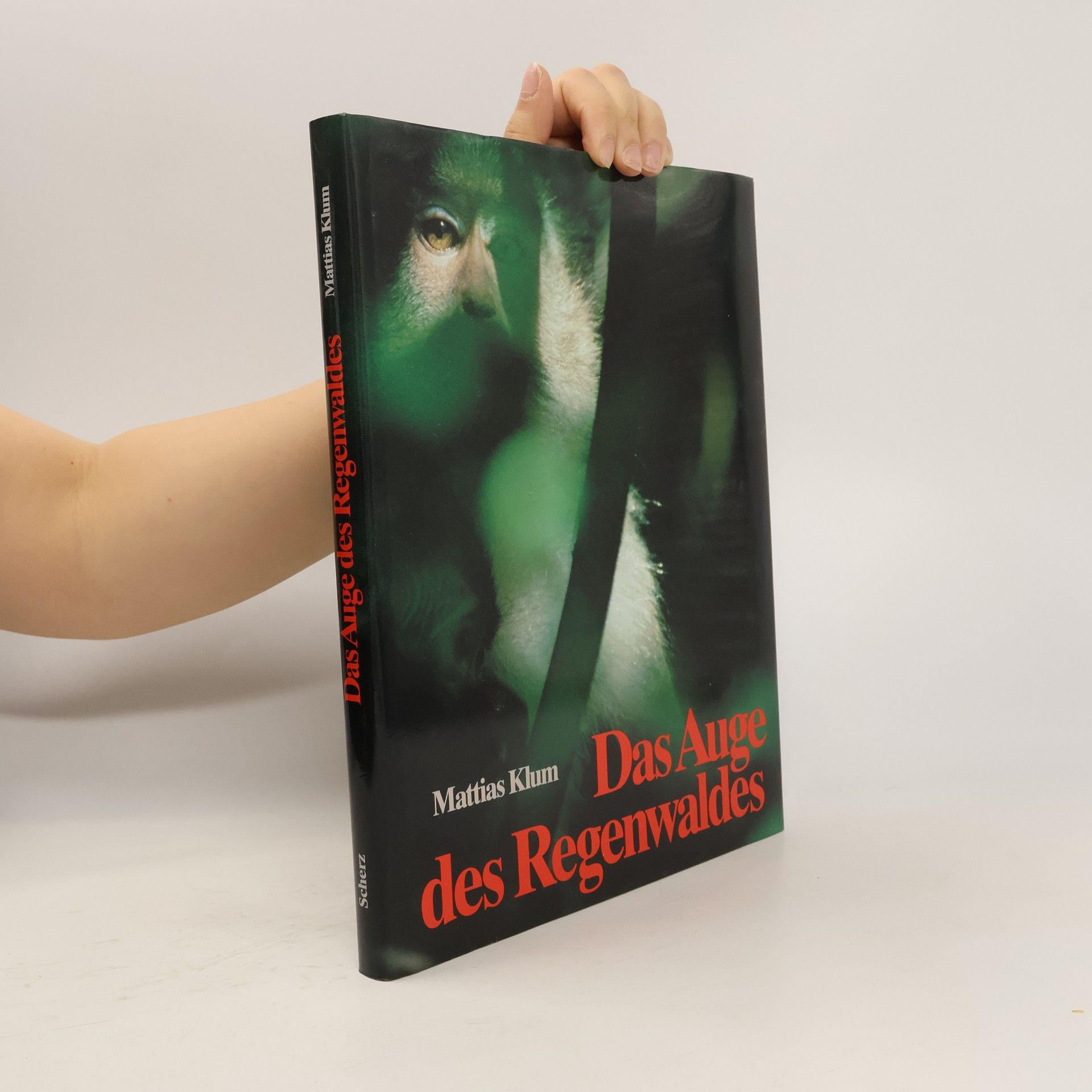 Collectif d'auteurs Das Auge des Regenwaldes