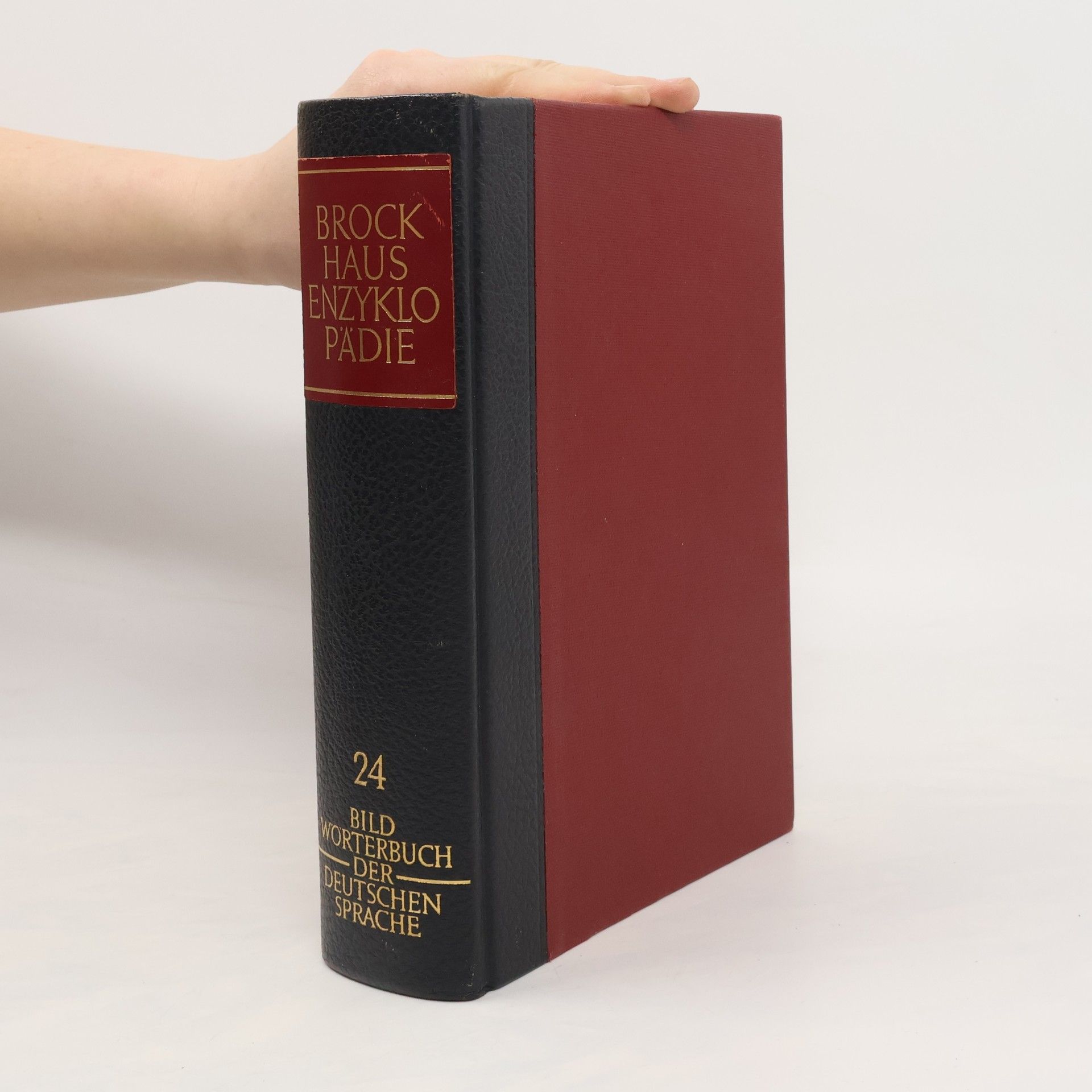 kolektiv Brockhaus-Enzyklopädie 24