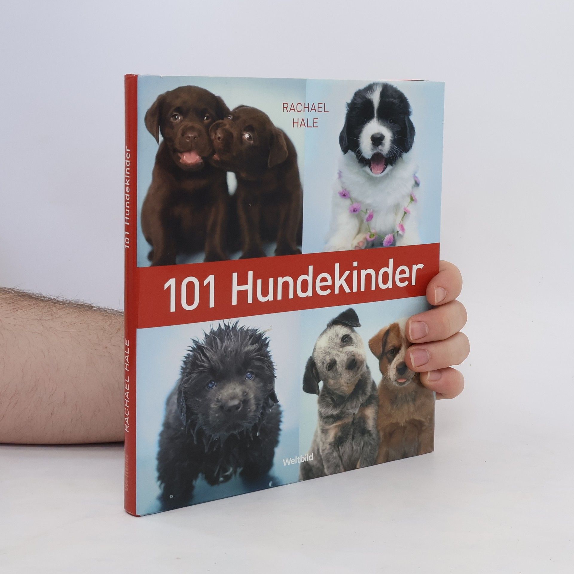 Rachael McKenna 101 Hundekinder