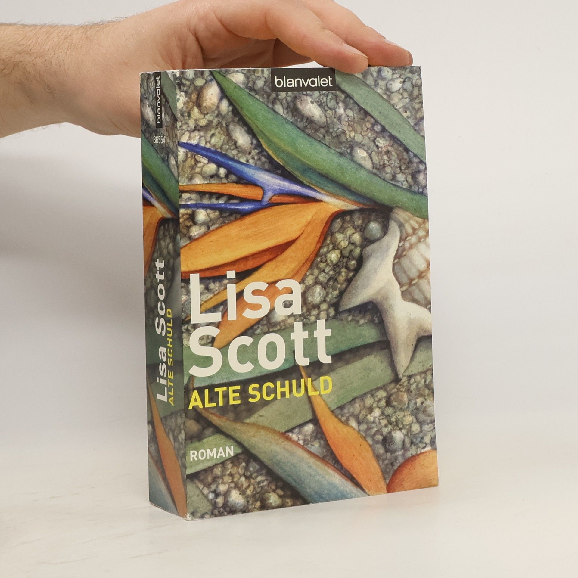 Lisa Scottoline Alte Schuld. Roman