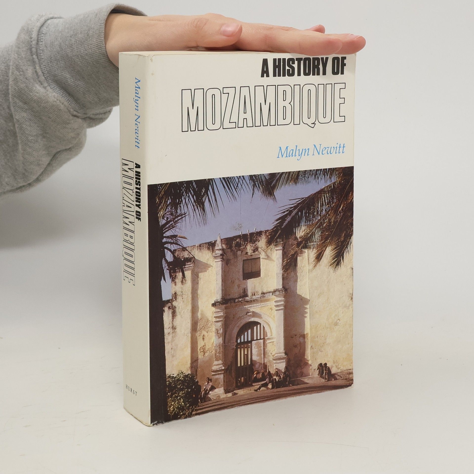 Malyn Newitt A History of Mozambique