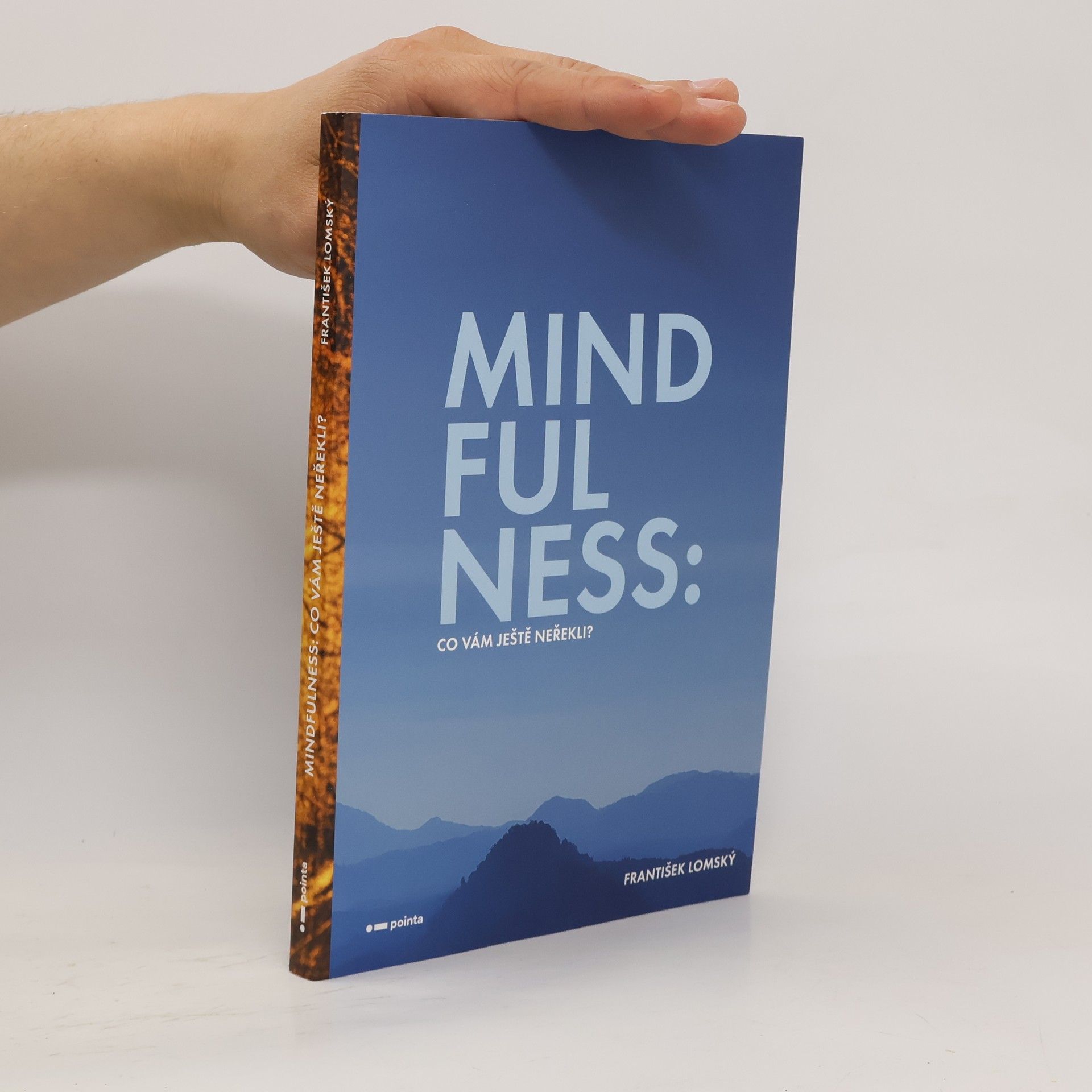 František Lomský Mindfulness : co vám ještě neřekli?