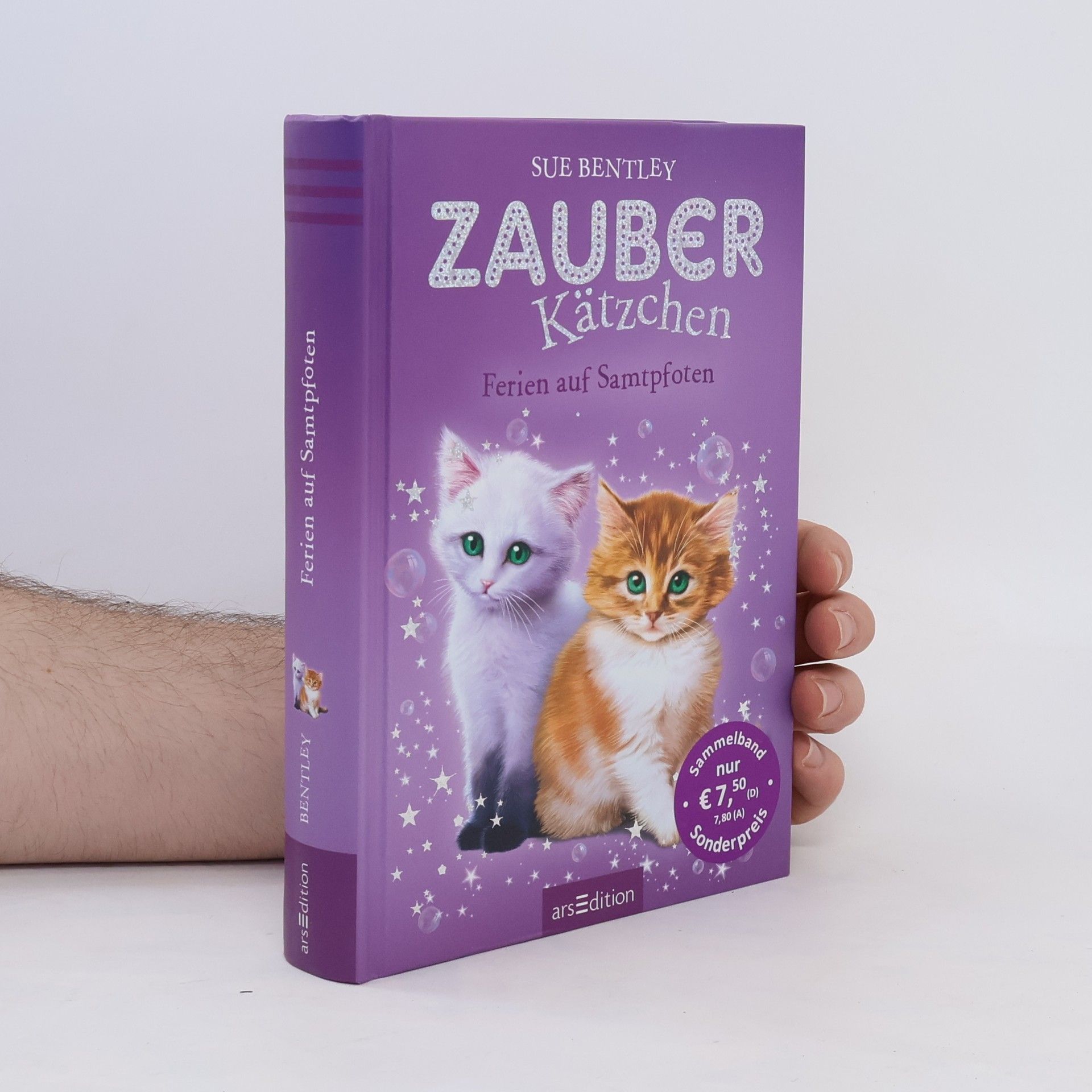 Sue Bentley Zauberkätzchen - Ferien auf Samtpfoten