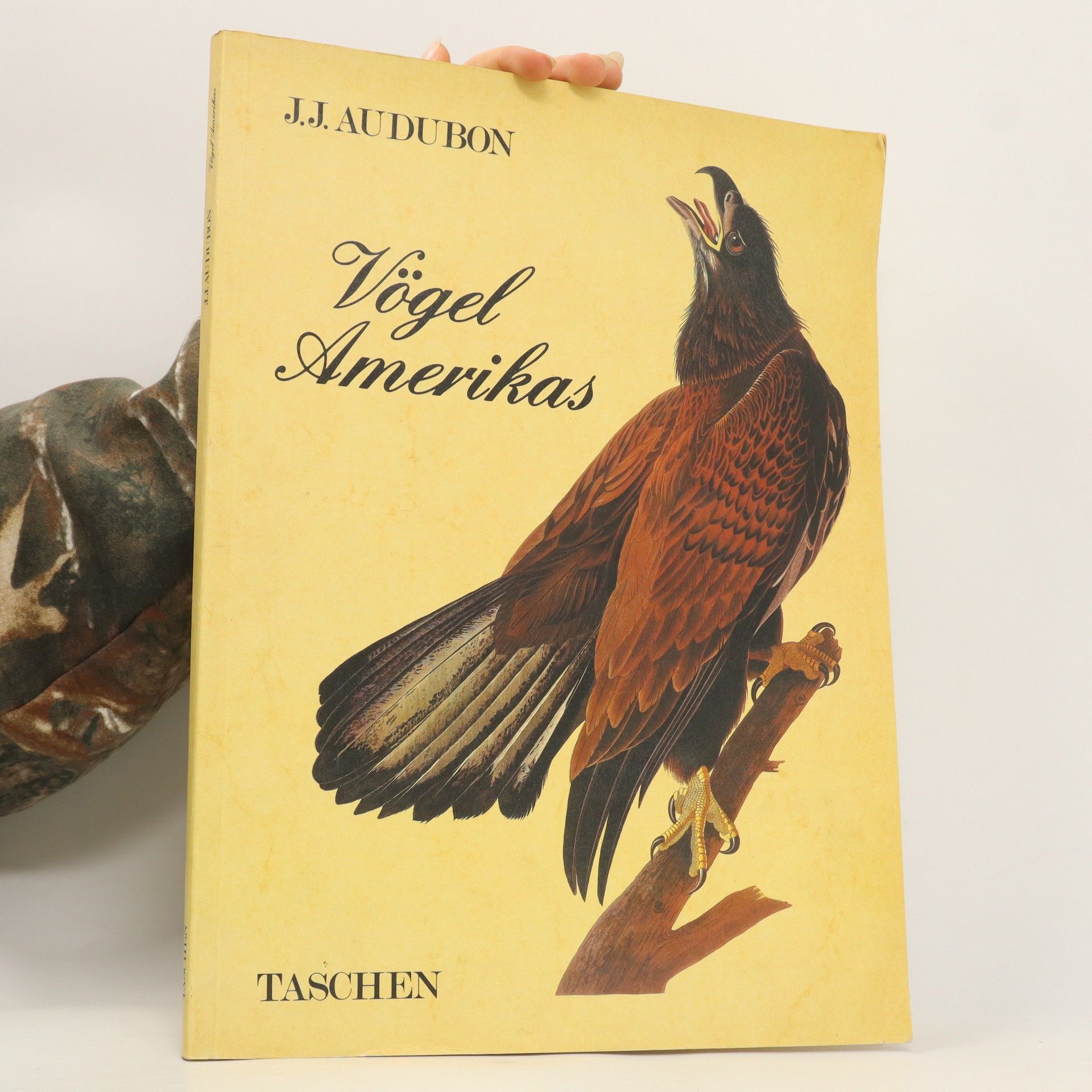 John James Audubon Vögel Amerikas