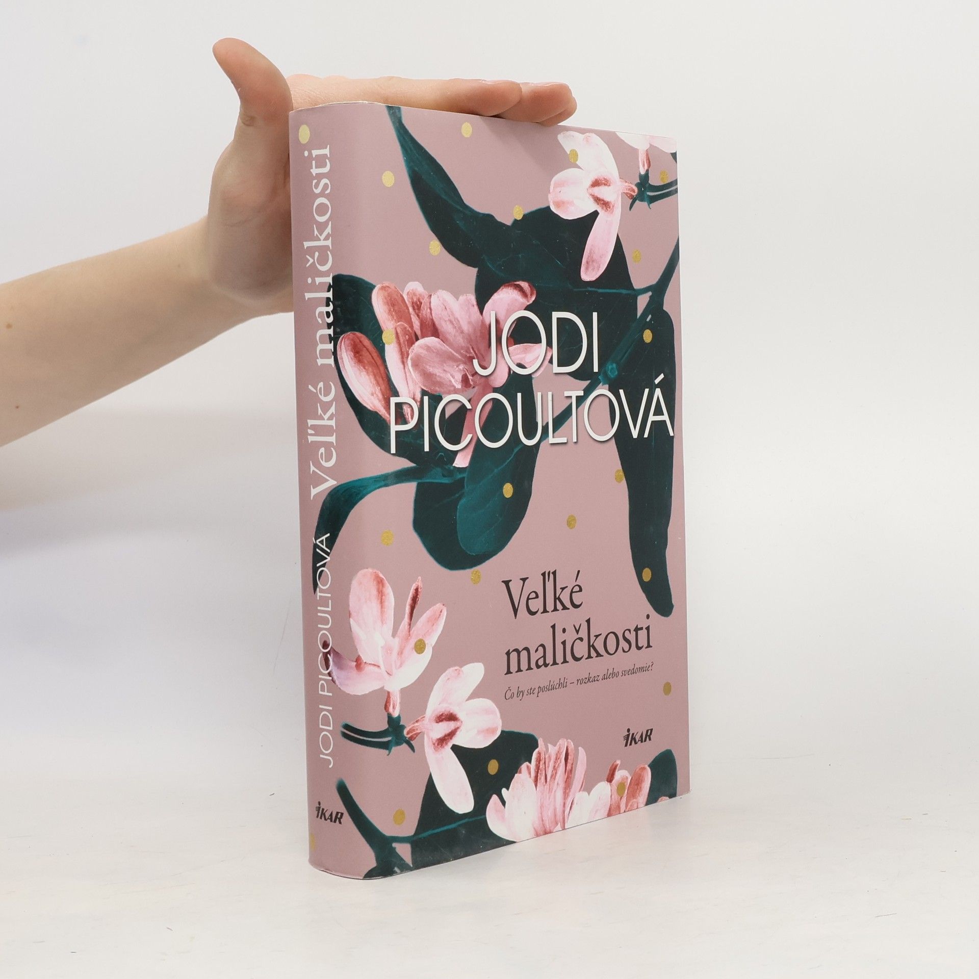 Jodi Picoult Veľké maličkosti