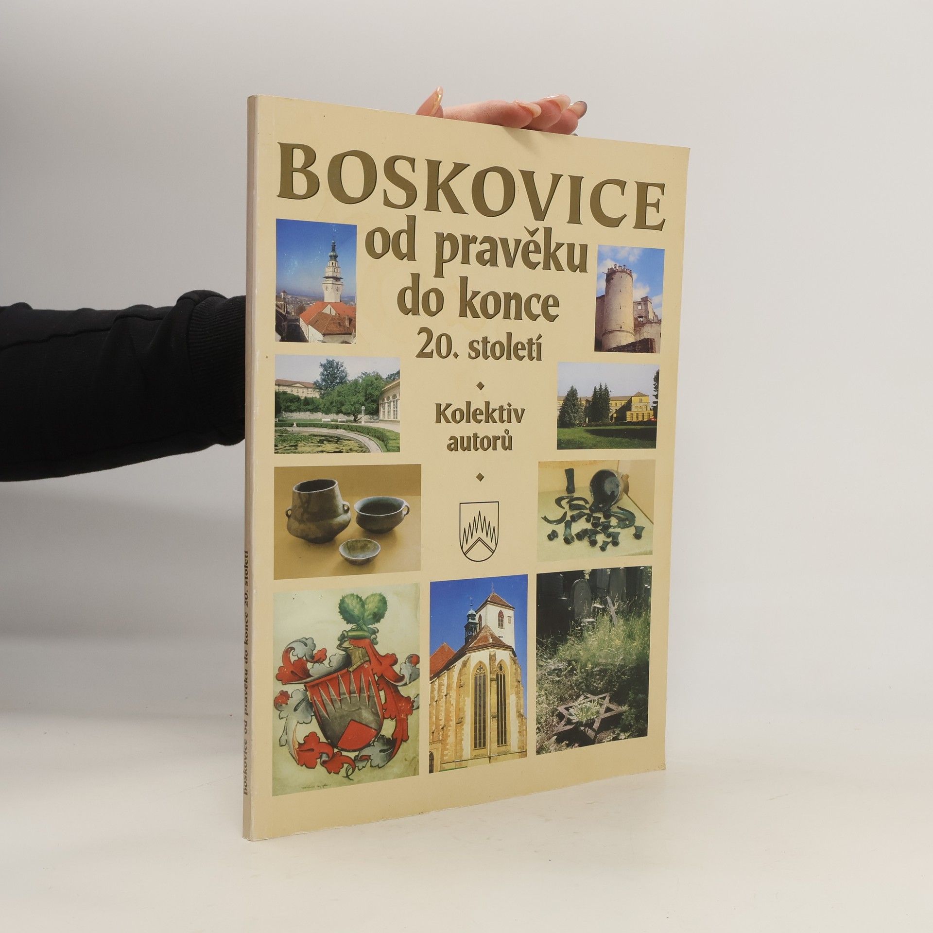 Autorenkollektiv Boskovice. Od pravěku do konce 20. století