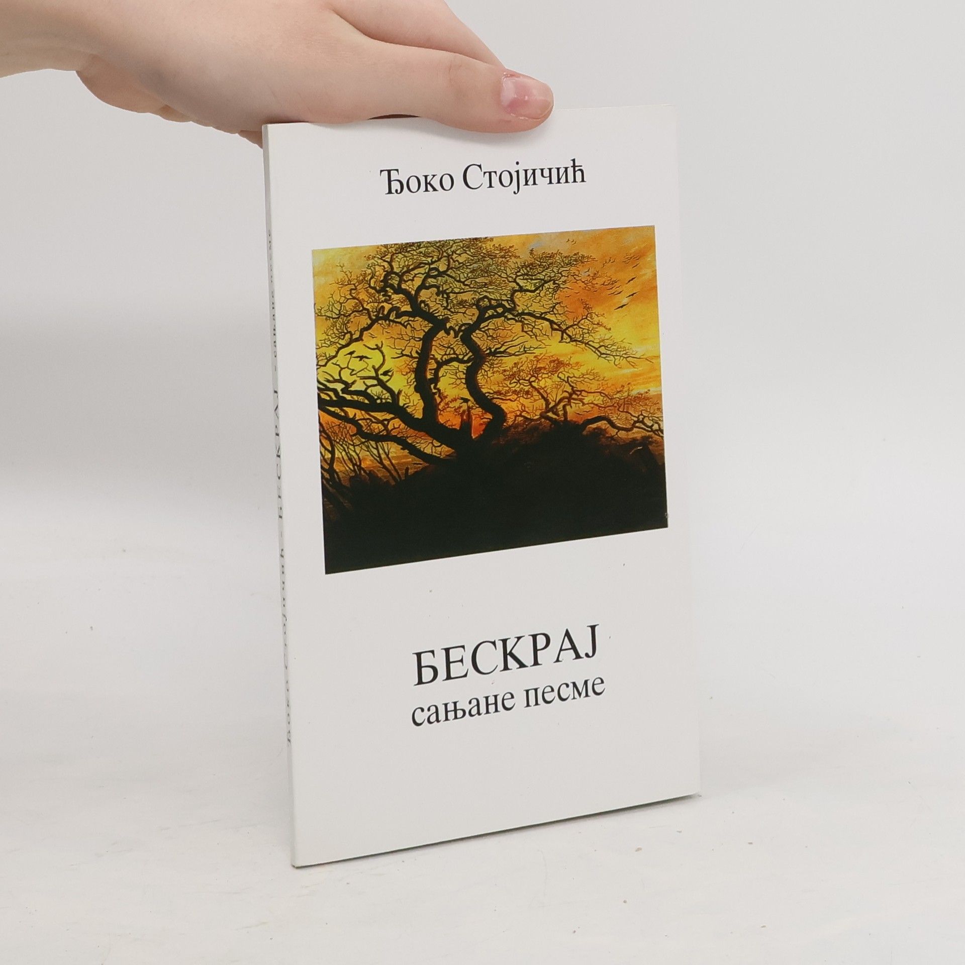Đoko Stojičić БЕСКРАЈ сањане песме