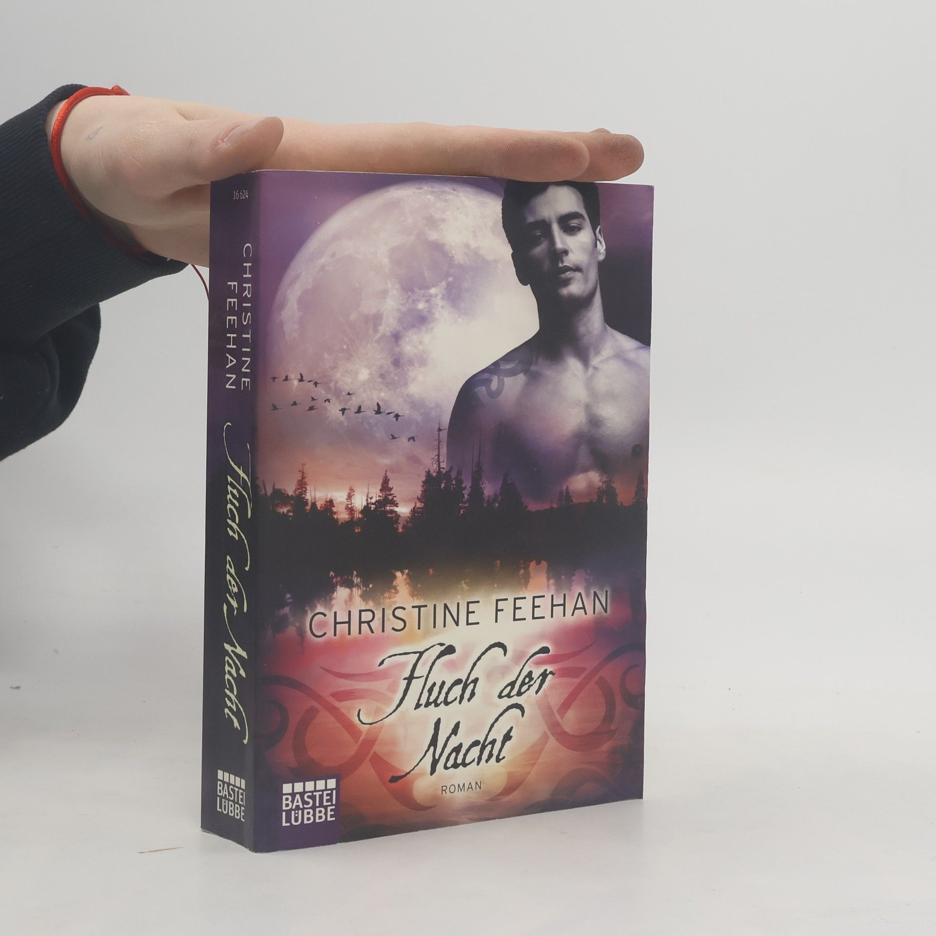 Christine Feehan Fluch der Nacht