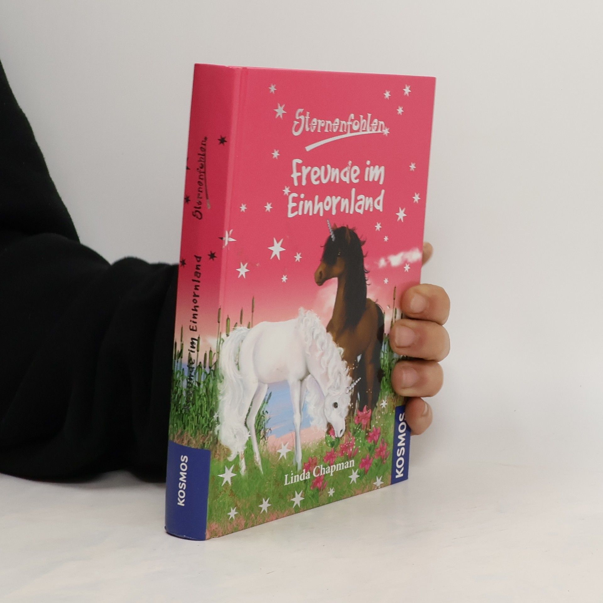Linda Chapman Sternenfohlen - Freunde im Einhornland